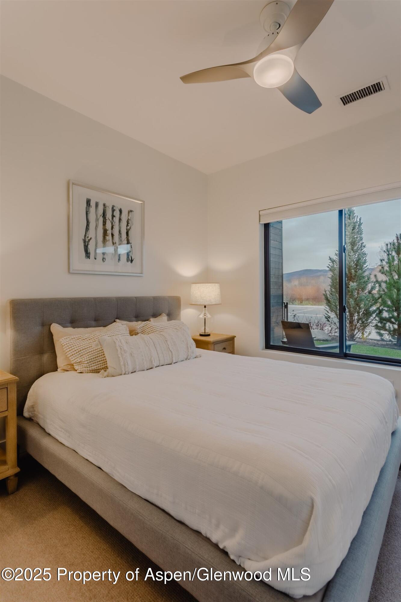 220 E Lewis Lane Basalt CO 81621