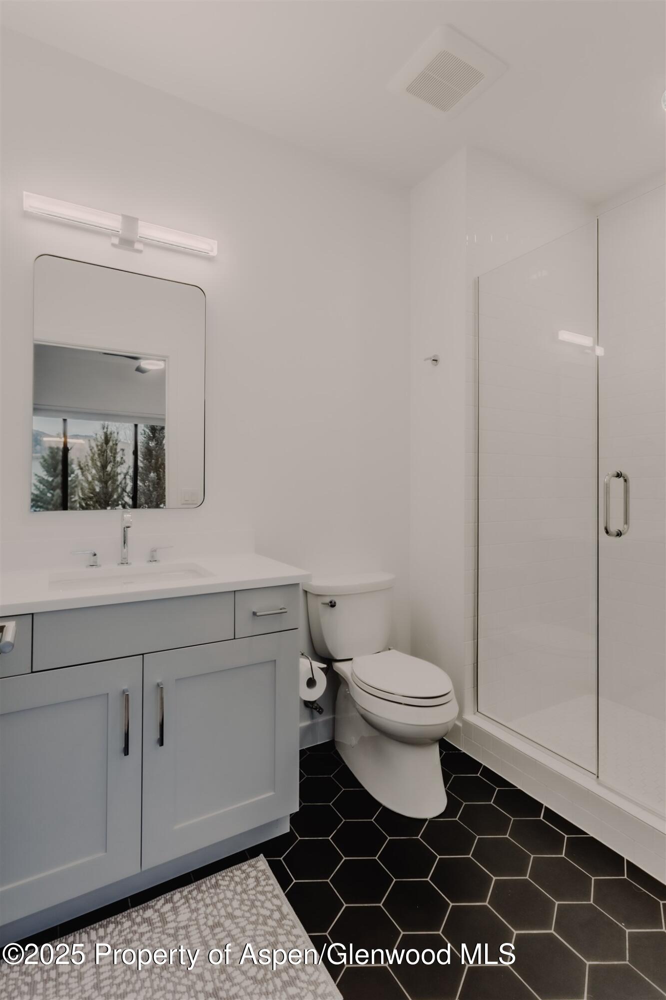 220 E Lewis Lane Basalt CO 81621