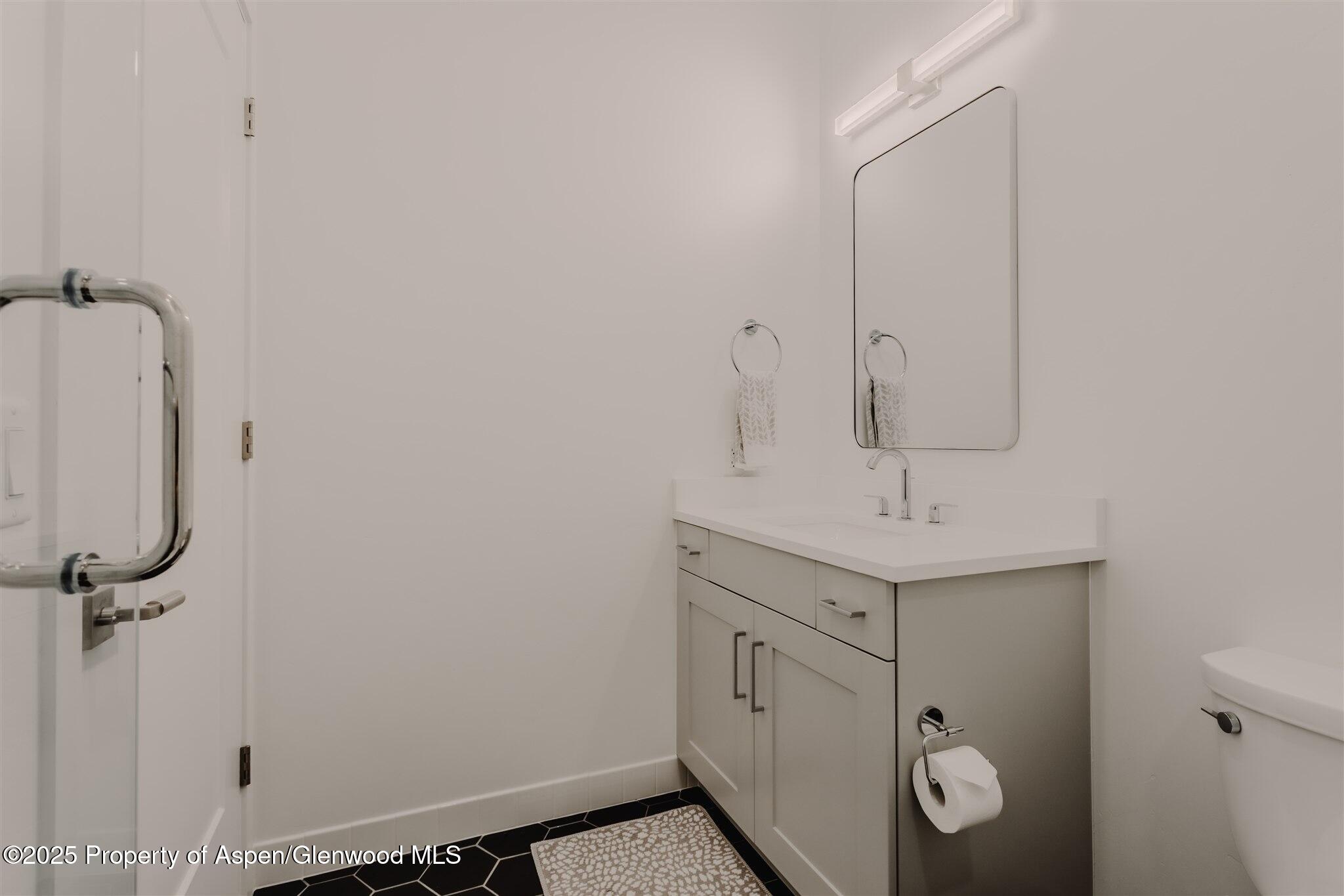 220 E Lewis Lane Basalt CO 81621