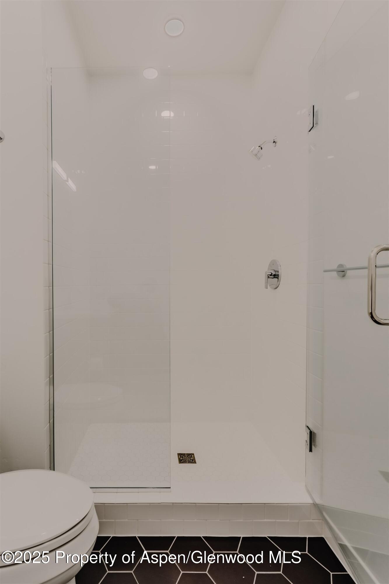 220 E Lewis Lane Basalt CO 81621