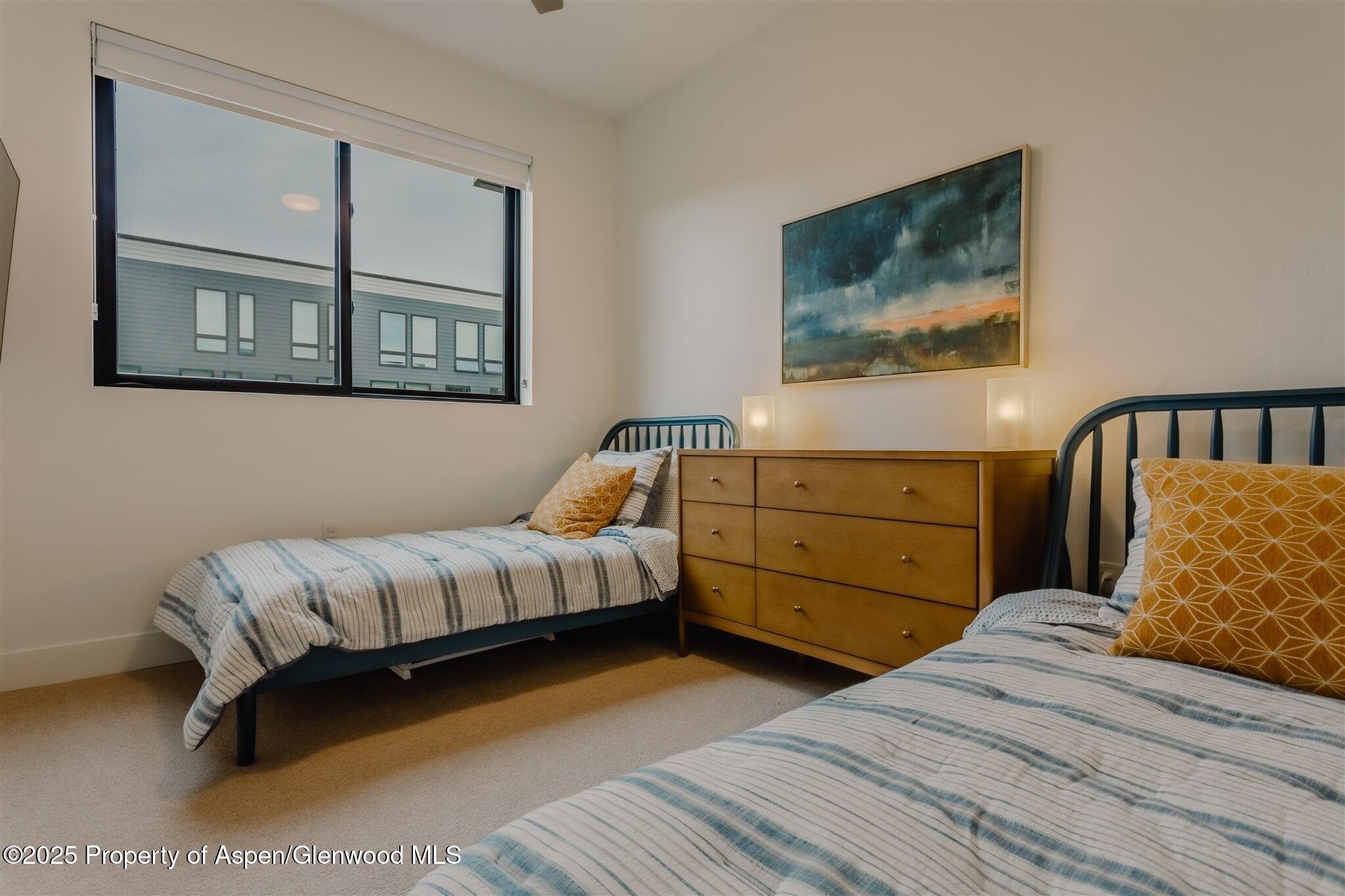 220 E Lewis Lane Basalt CO 81621