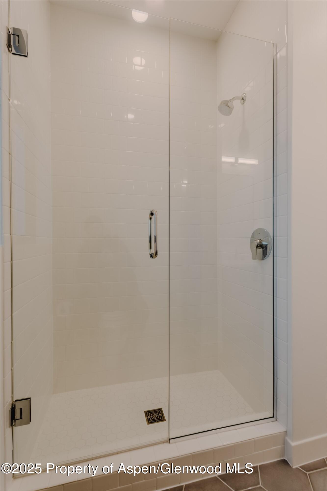 220 E Lewis Lane Basalt CO 81621