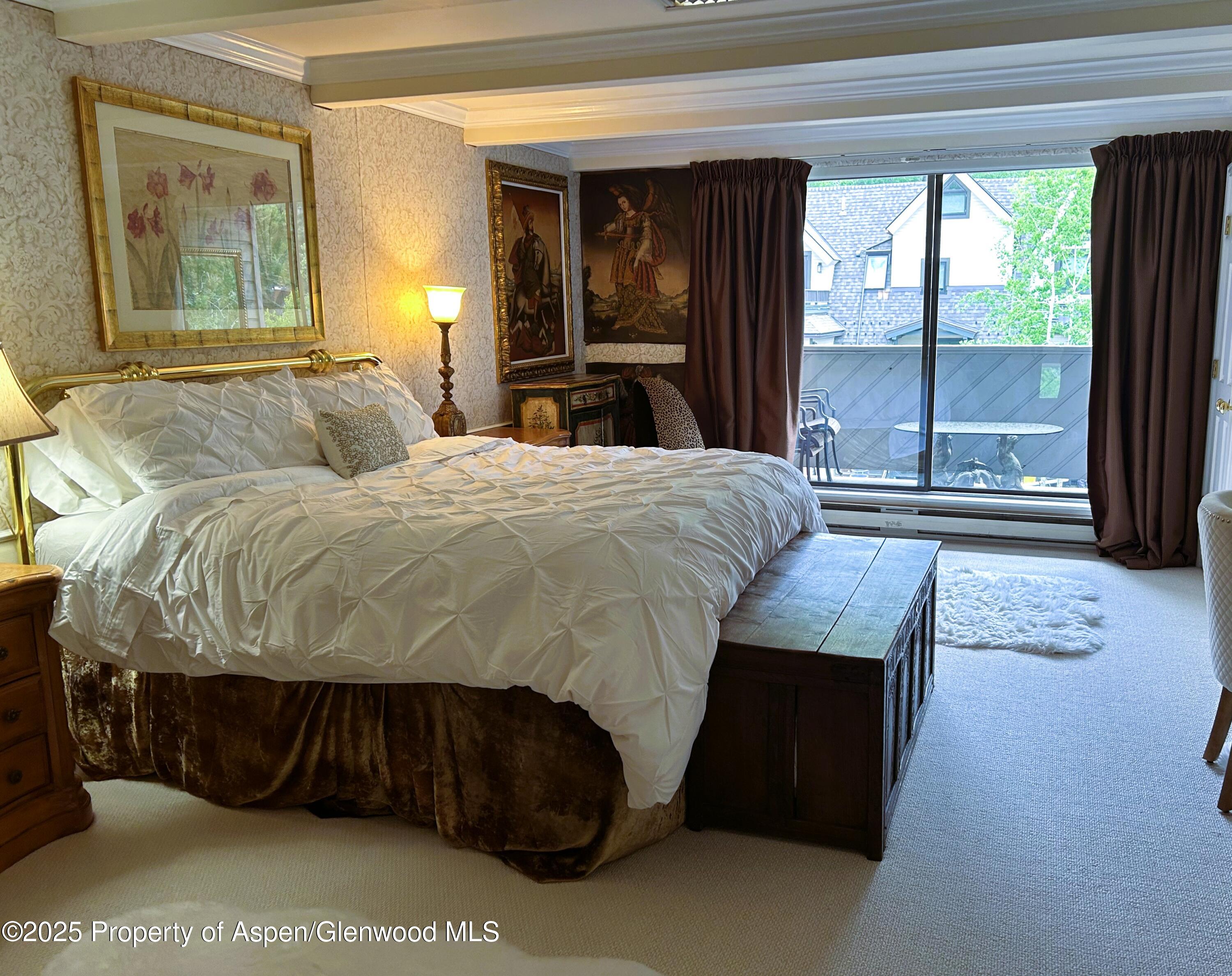 1007 E E Hyman Avenue Aspen CO 81611