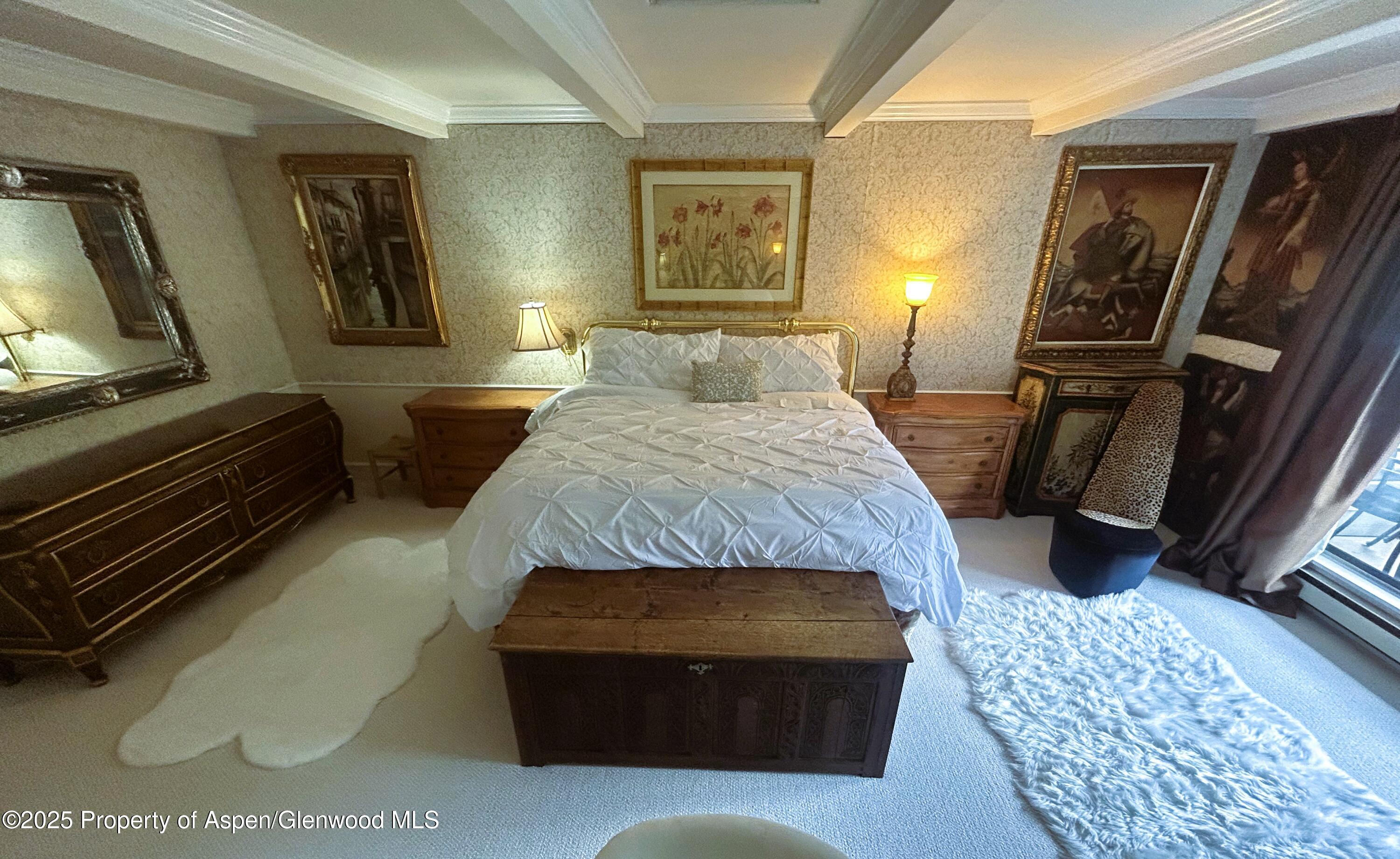 1007 E E Hyman Avenue Aspen CO 81611