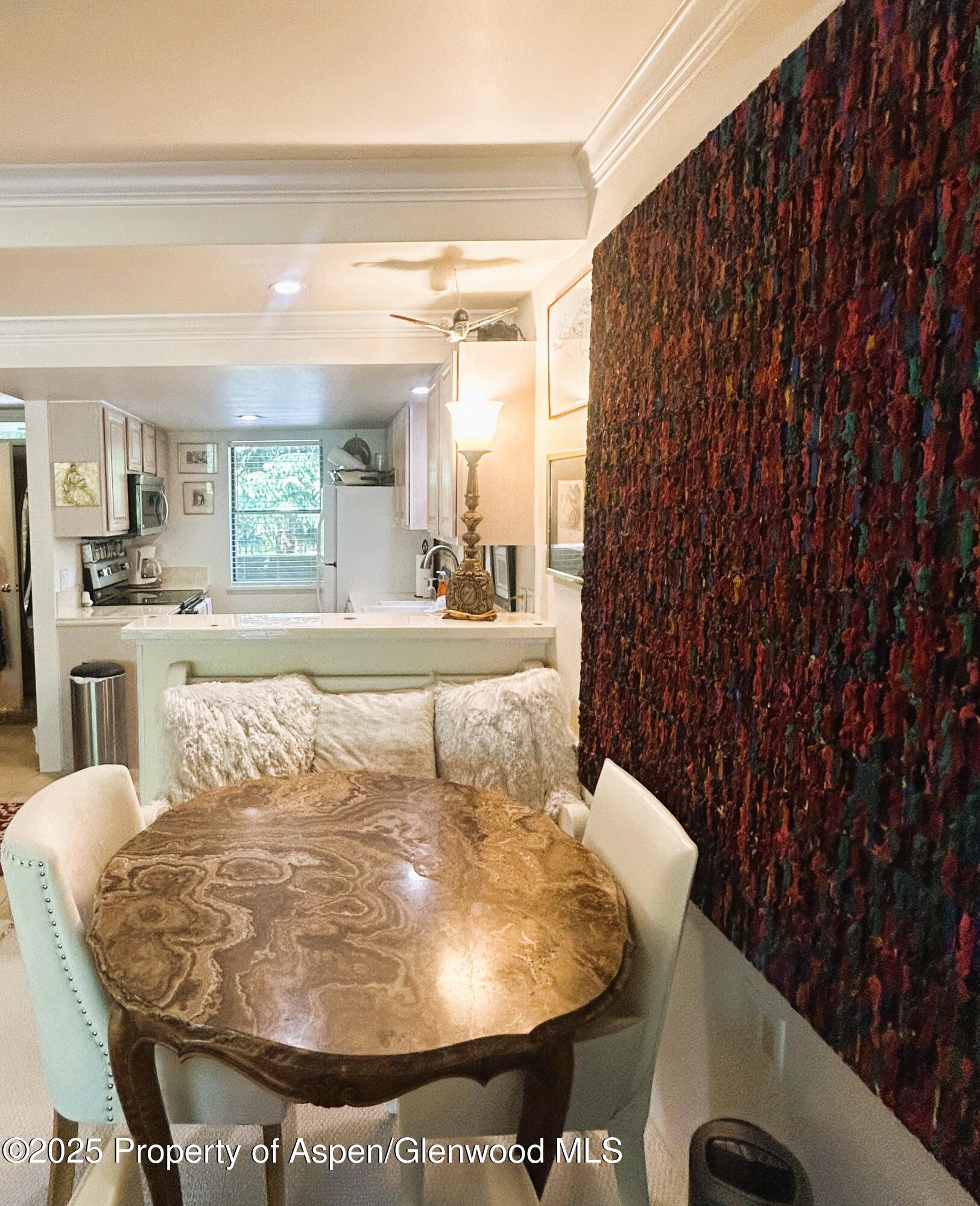 1007 E E Hyman Avenue Aspen CO 81611