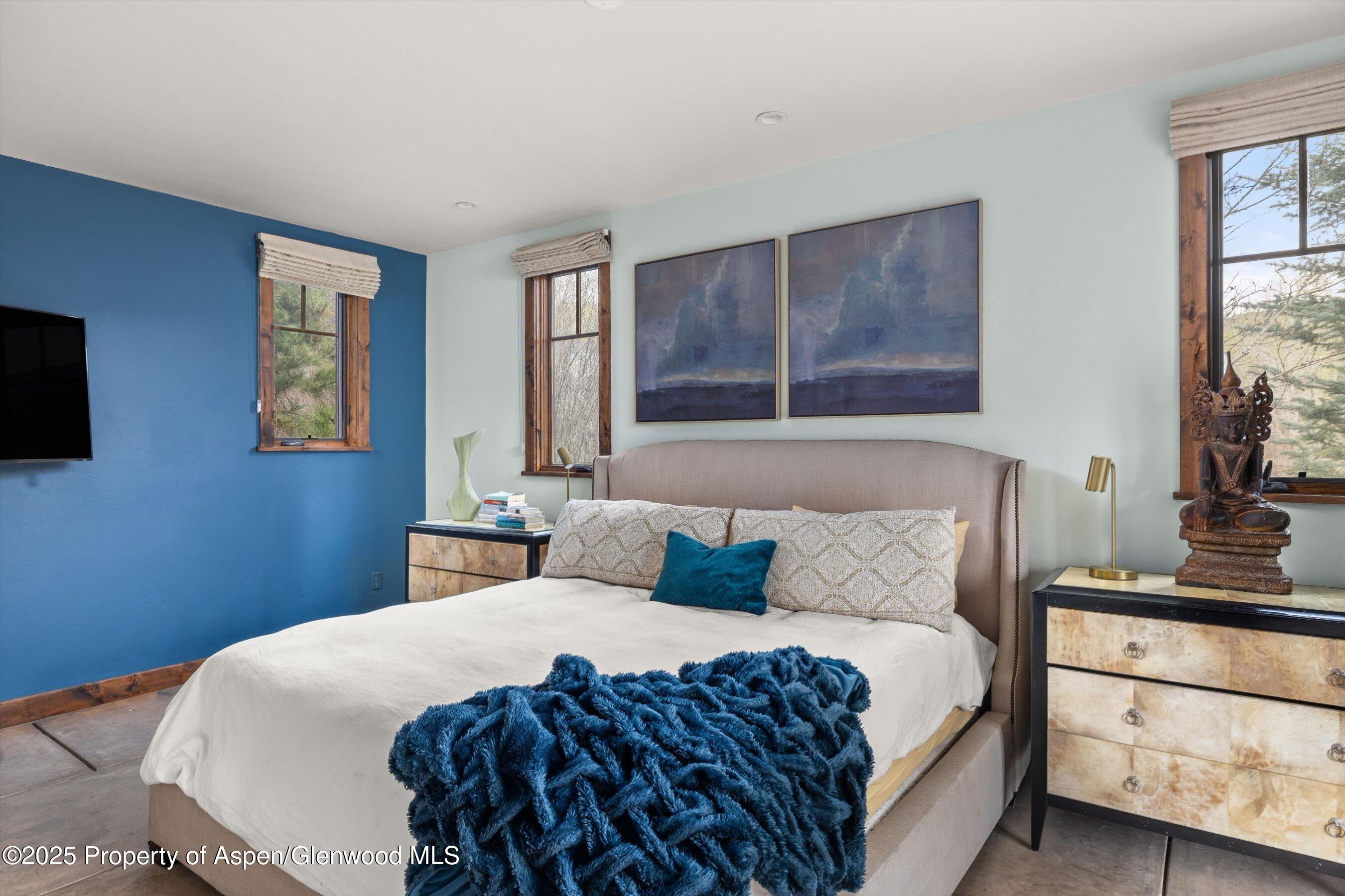 160 Equestrian Way Carbondale CO 81623