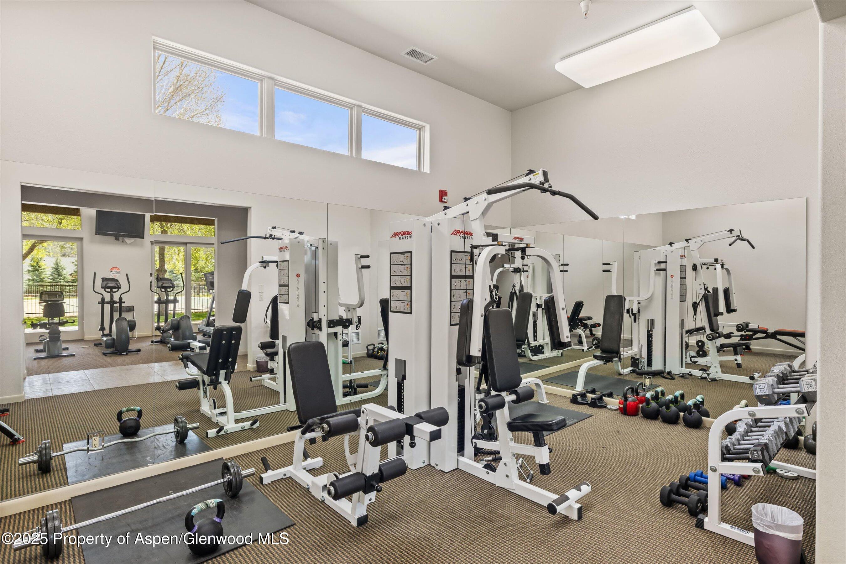 160 Equestrian Way Carbondale CO 81623