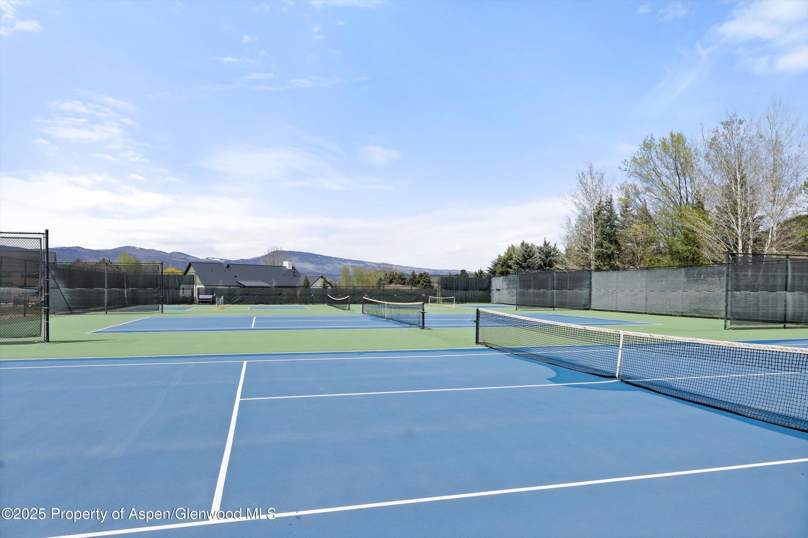 160 Equestrian Way Carbondale CO 81623