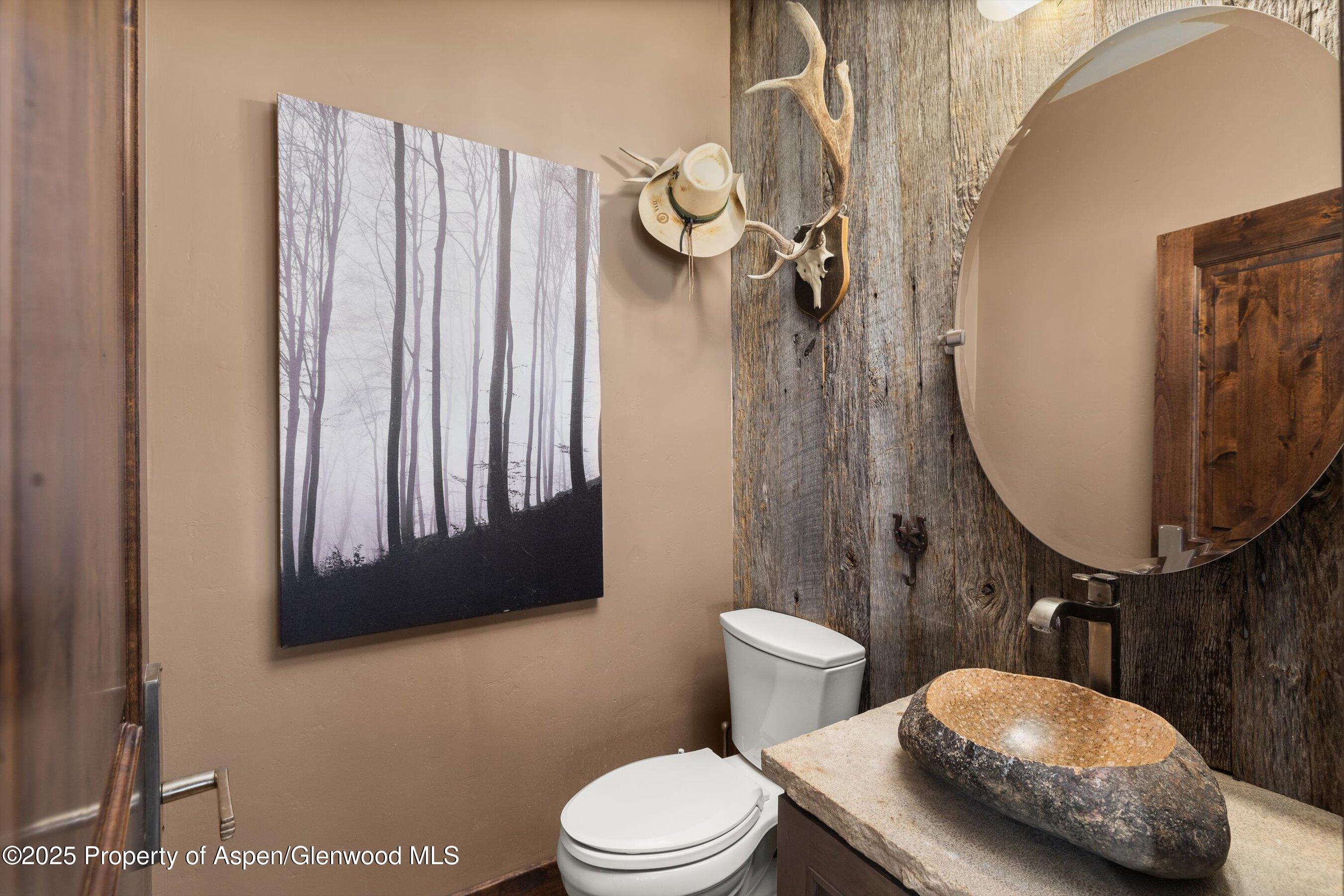 160 Equestrian Way Carbondale CO 81623