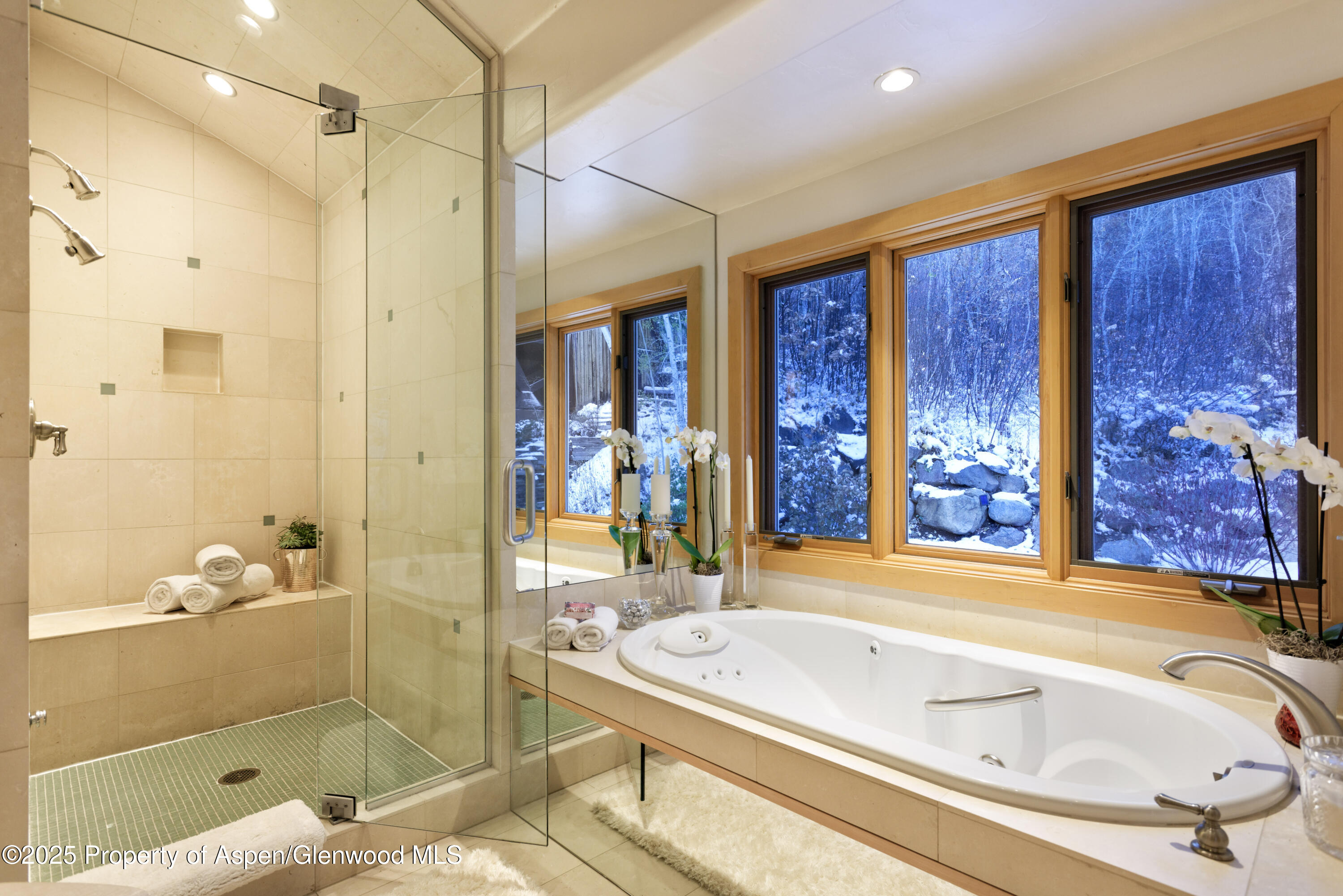 549 Mountain Laurel Drive Aspen CO 81611