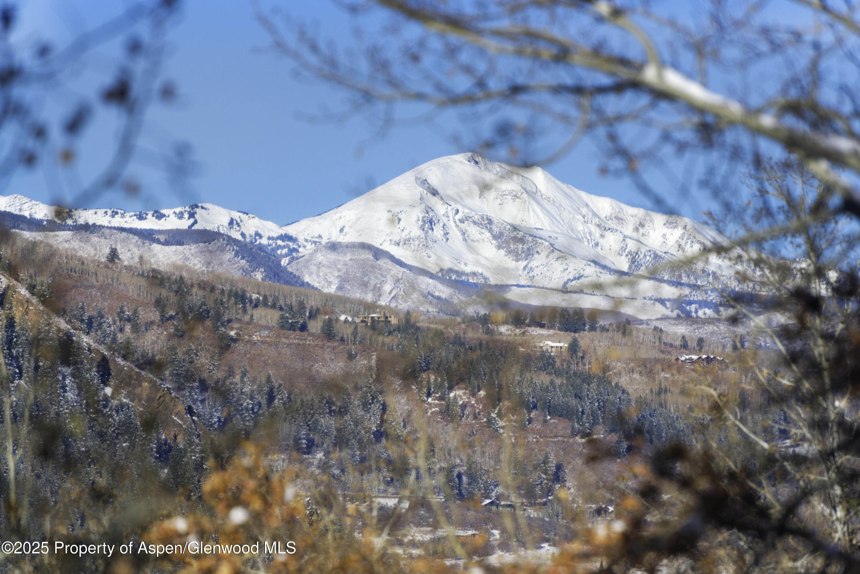 549 Mountain Laurel Drive Aspen CO 81611