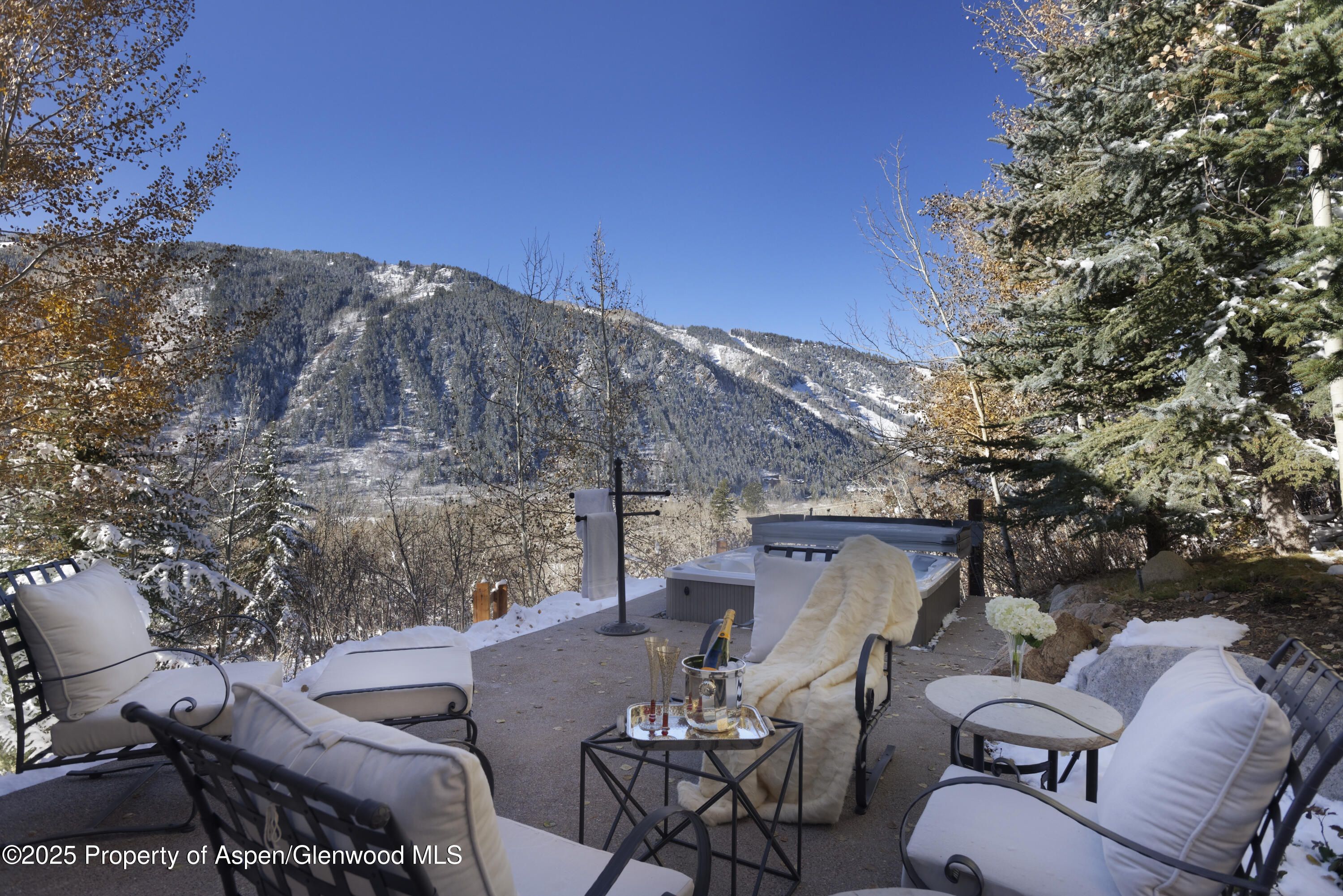 549 Mountain Laurel Drive Aspen CO 81611