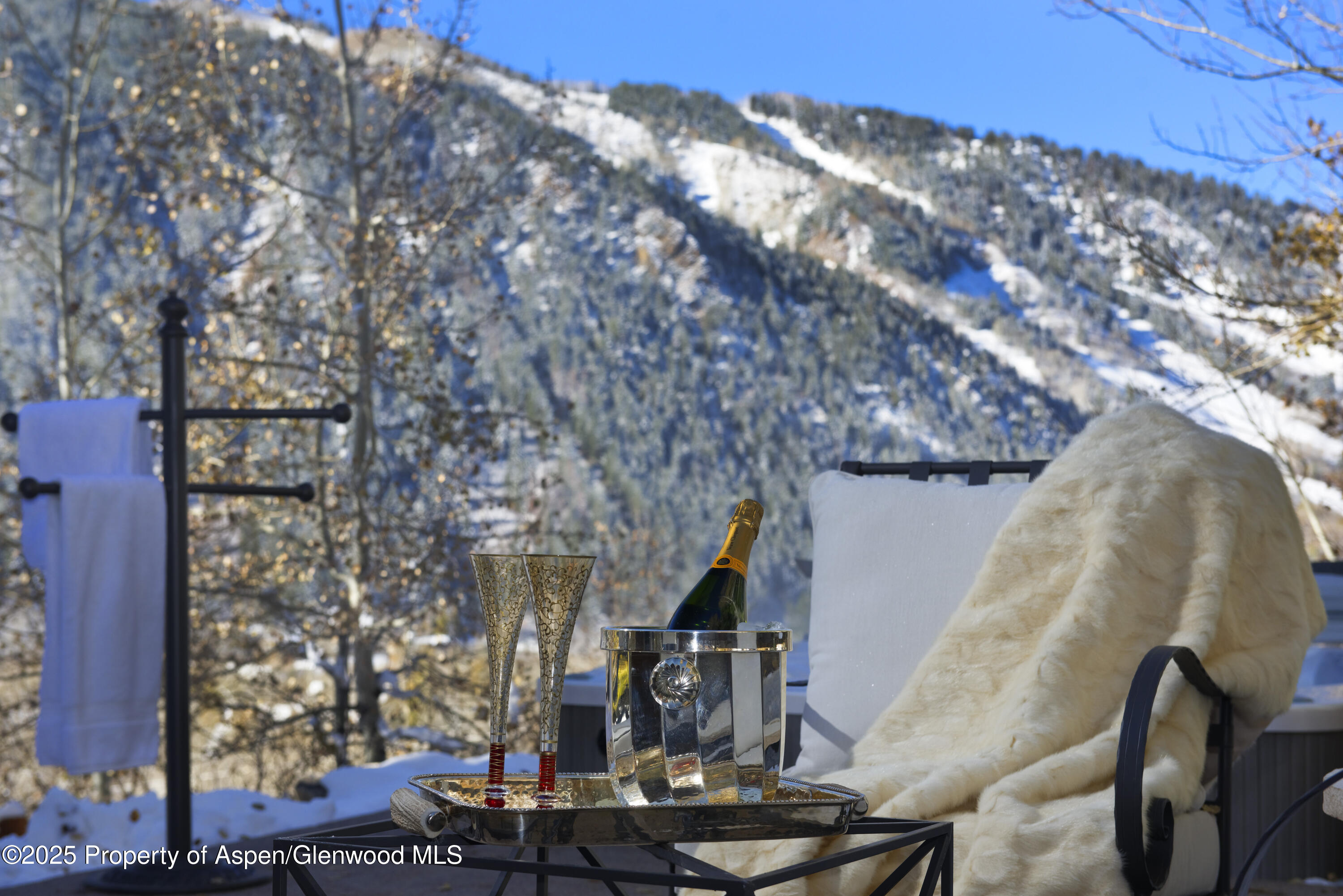 549 Mountain Laurel Drive Aspen CO 81611