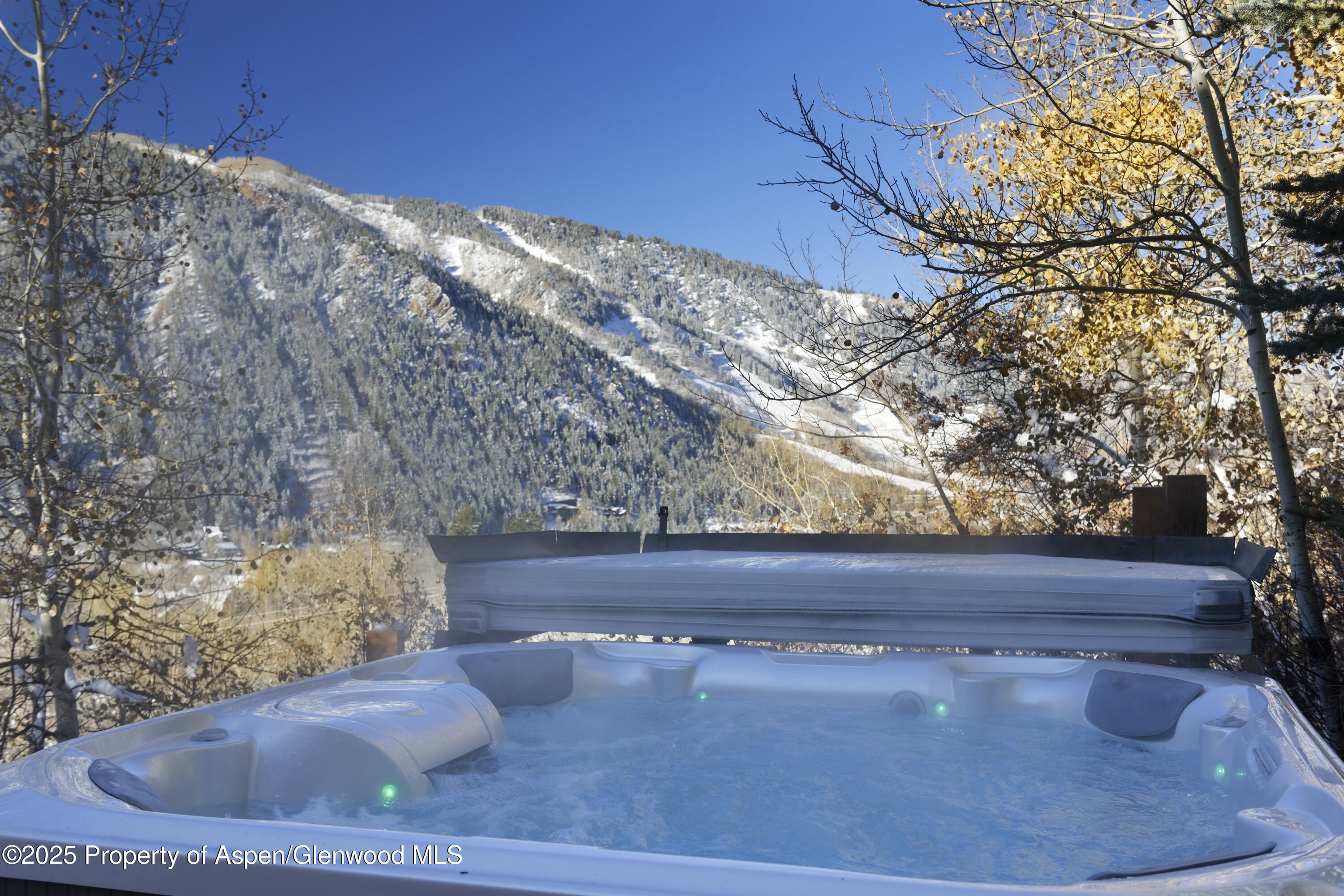 549 Mountain Laurel Drive Aspen CO 81611