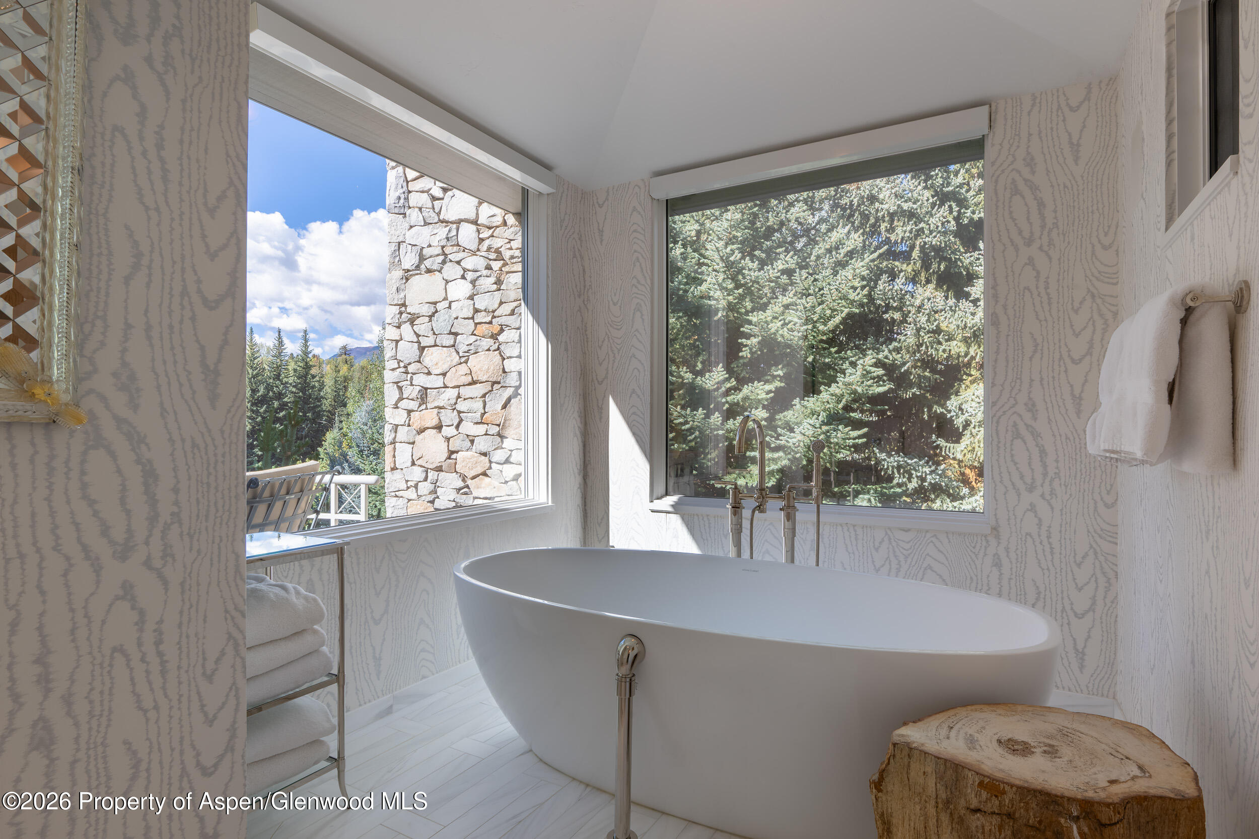 58 Pitkin Way Aspen CO 81611
