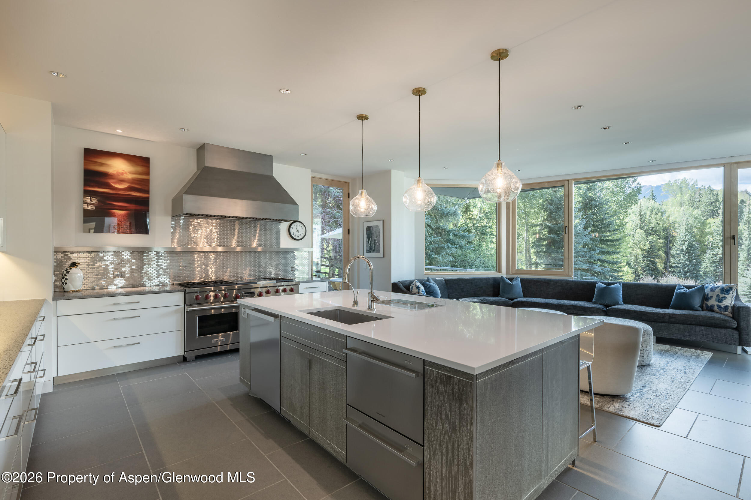 58 Pitkin Way Aspen CO 81611
