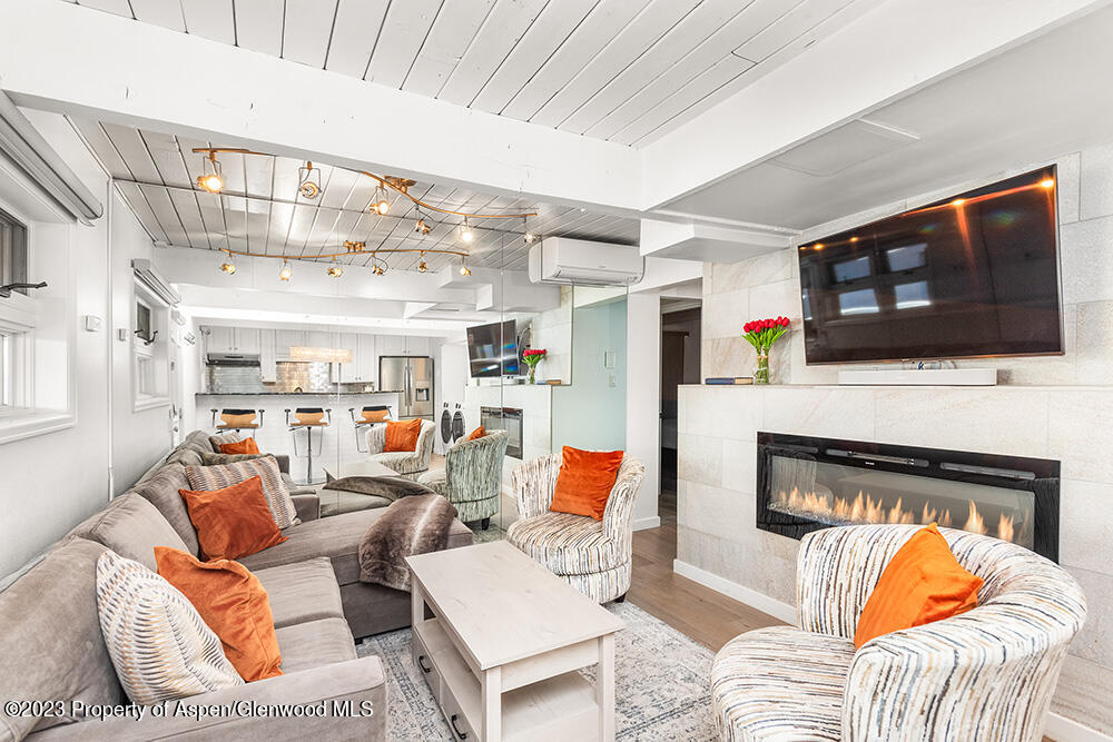 630 E Cooper Avenue Aspen CO 81611