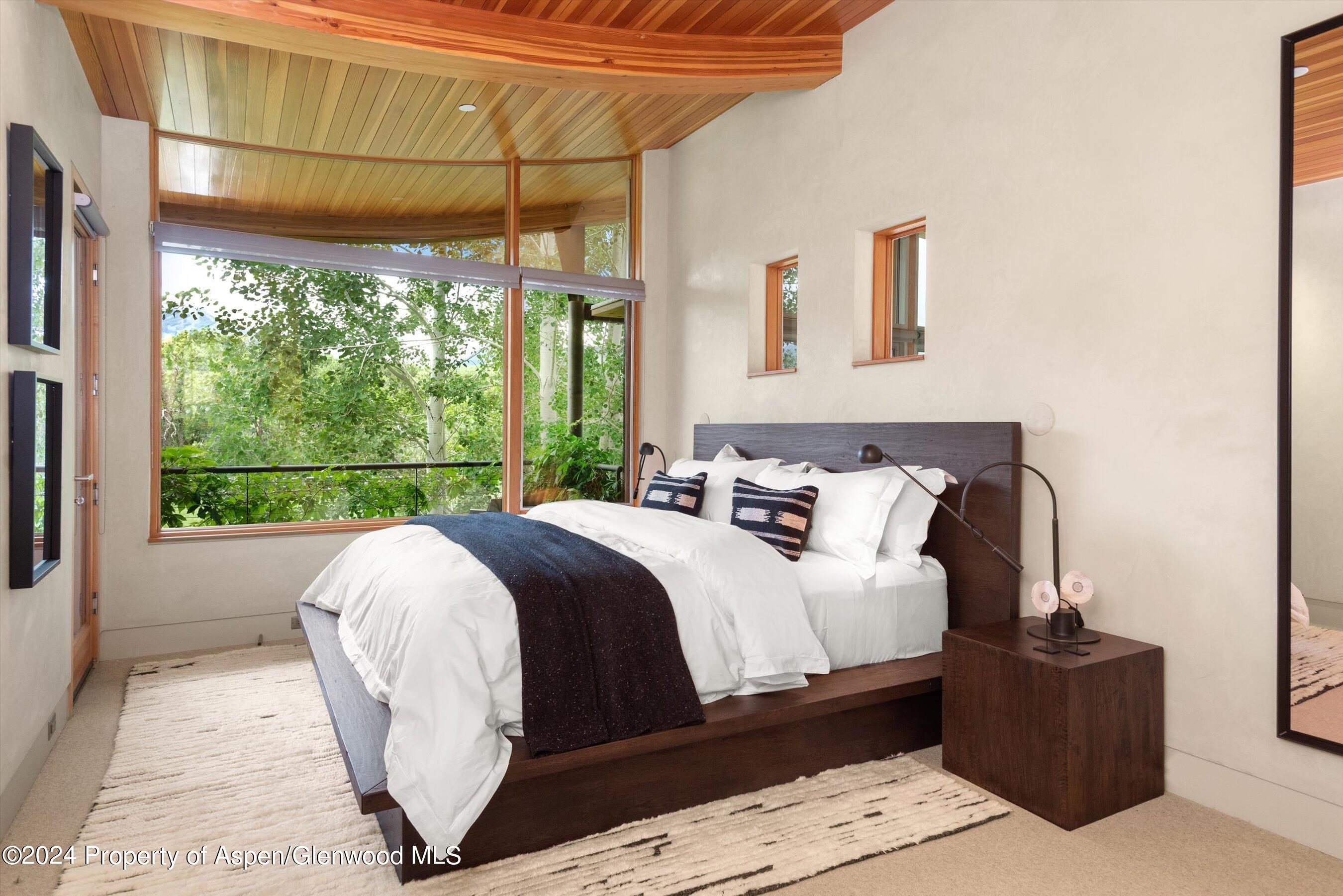 700 Nell Erickson Road Aspen CO 81611