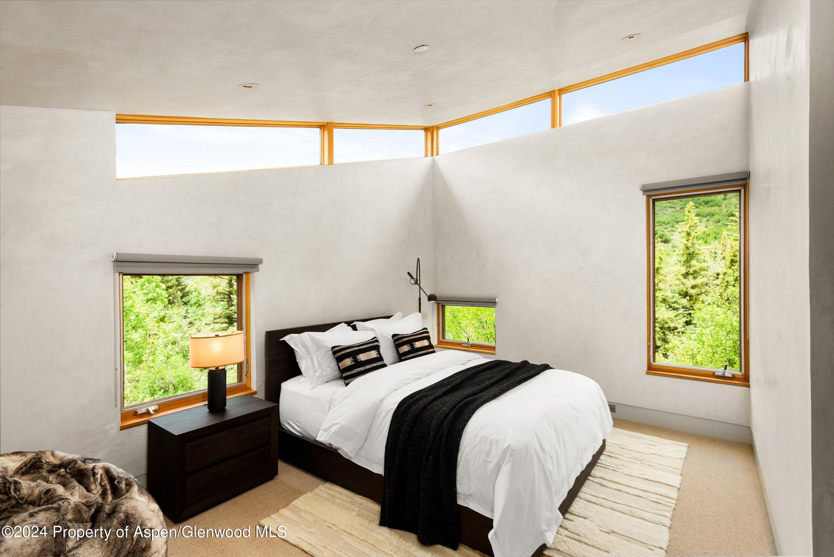 700 Nell Erickson Road Aspen CO 81611