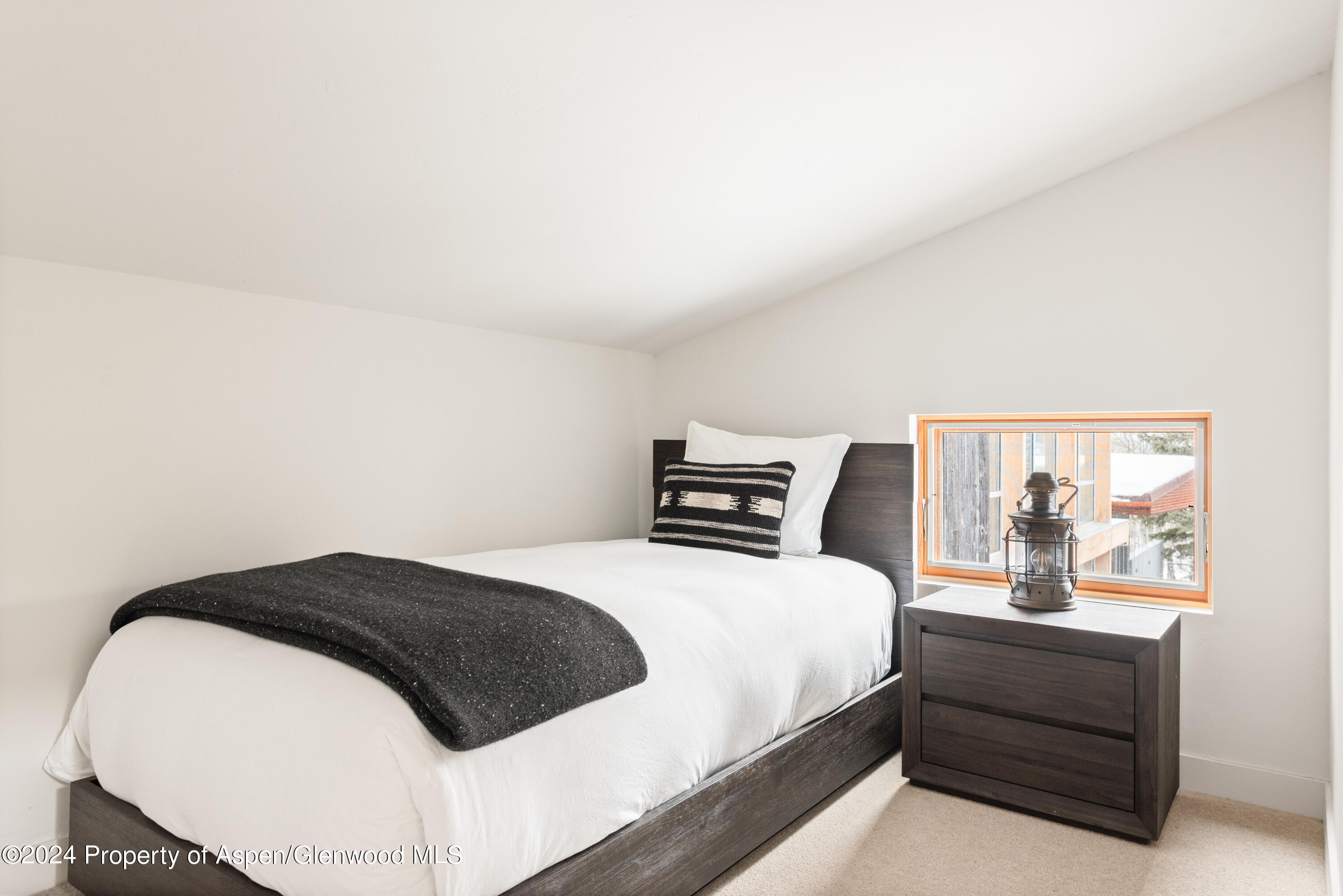 700 Nell Erickson Road Aspen CO 81611