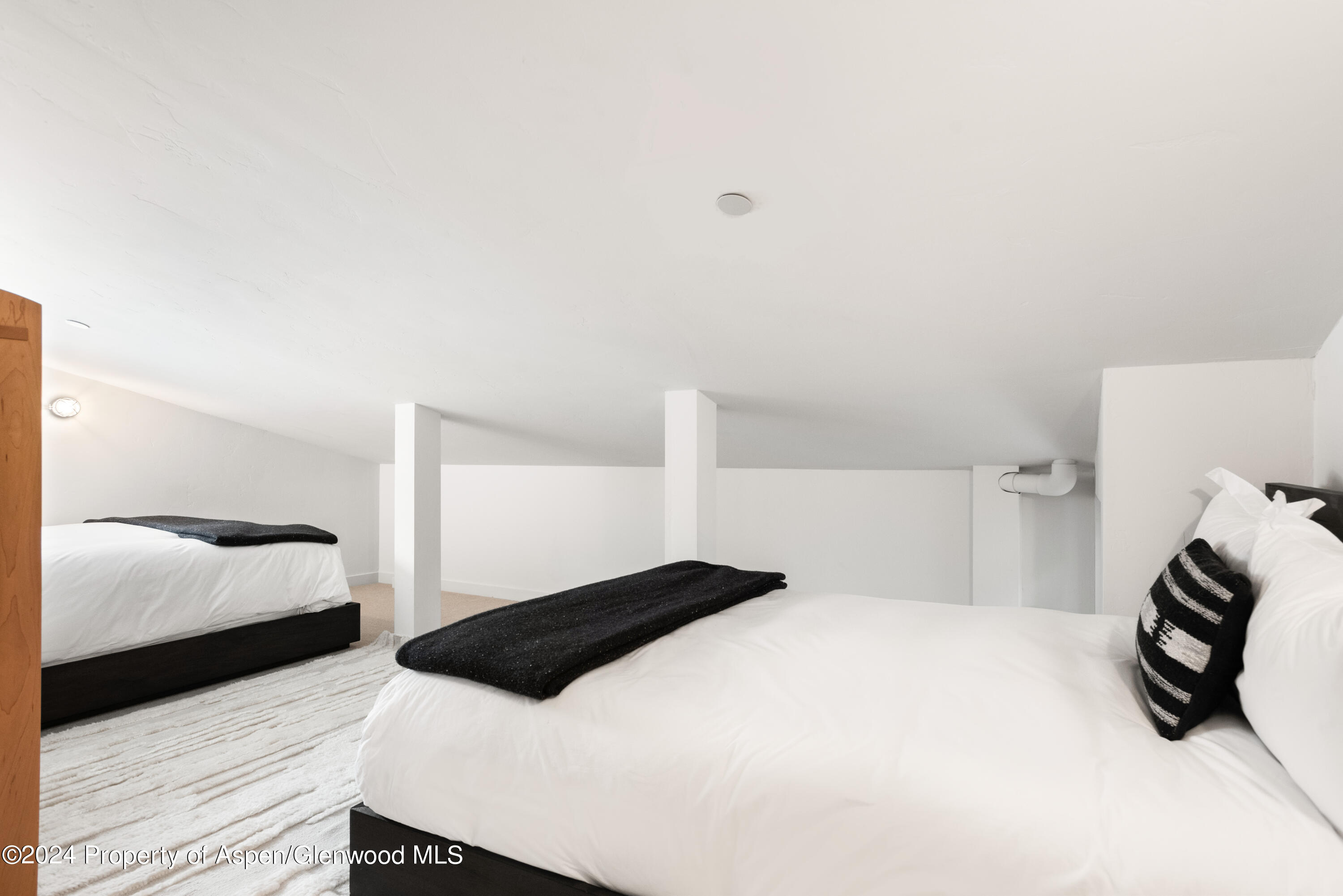 700 Nell Erickson Road Aspen CO 81611