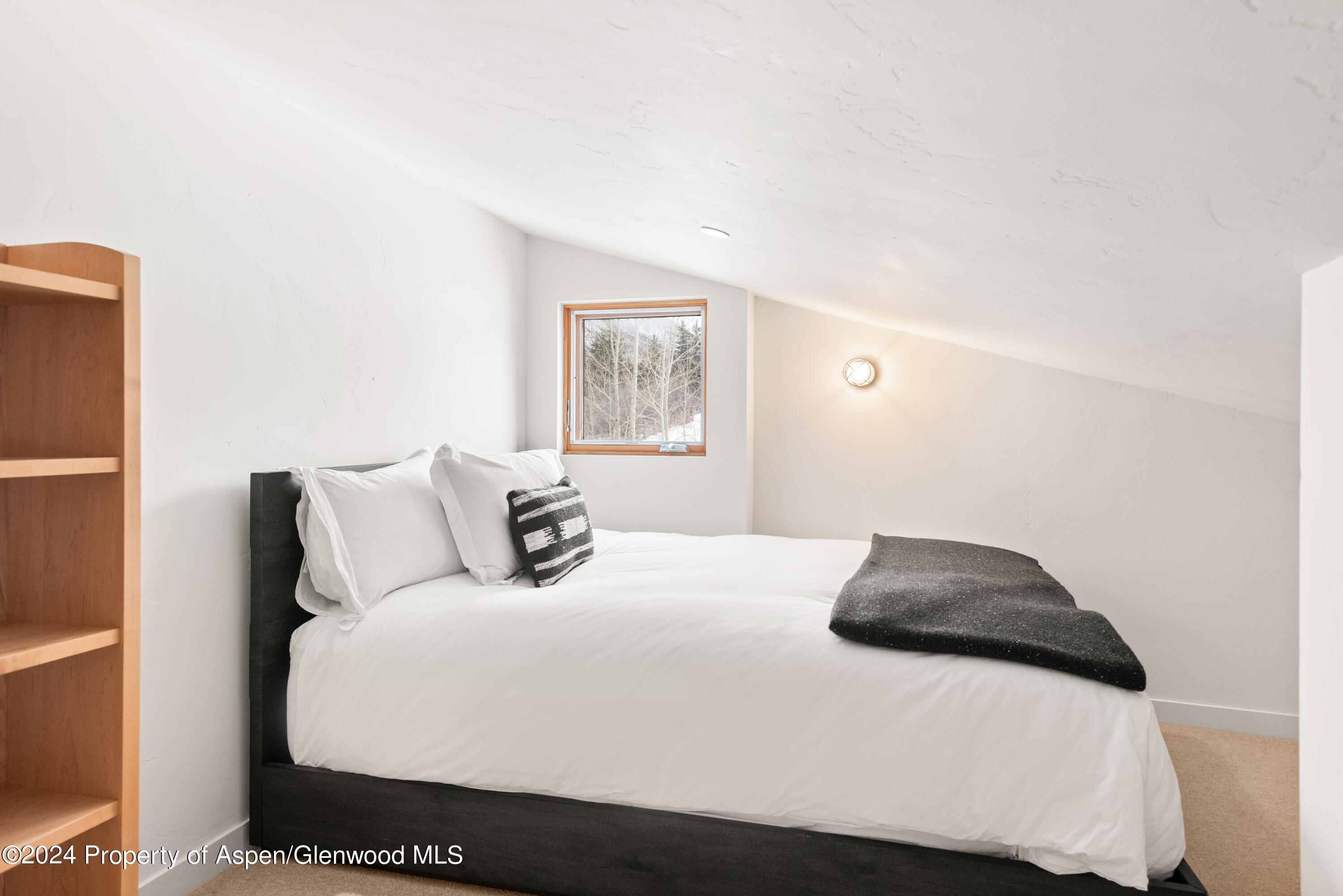 700 Nell Erickson Road Aspen CO 81611