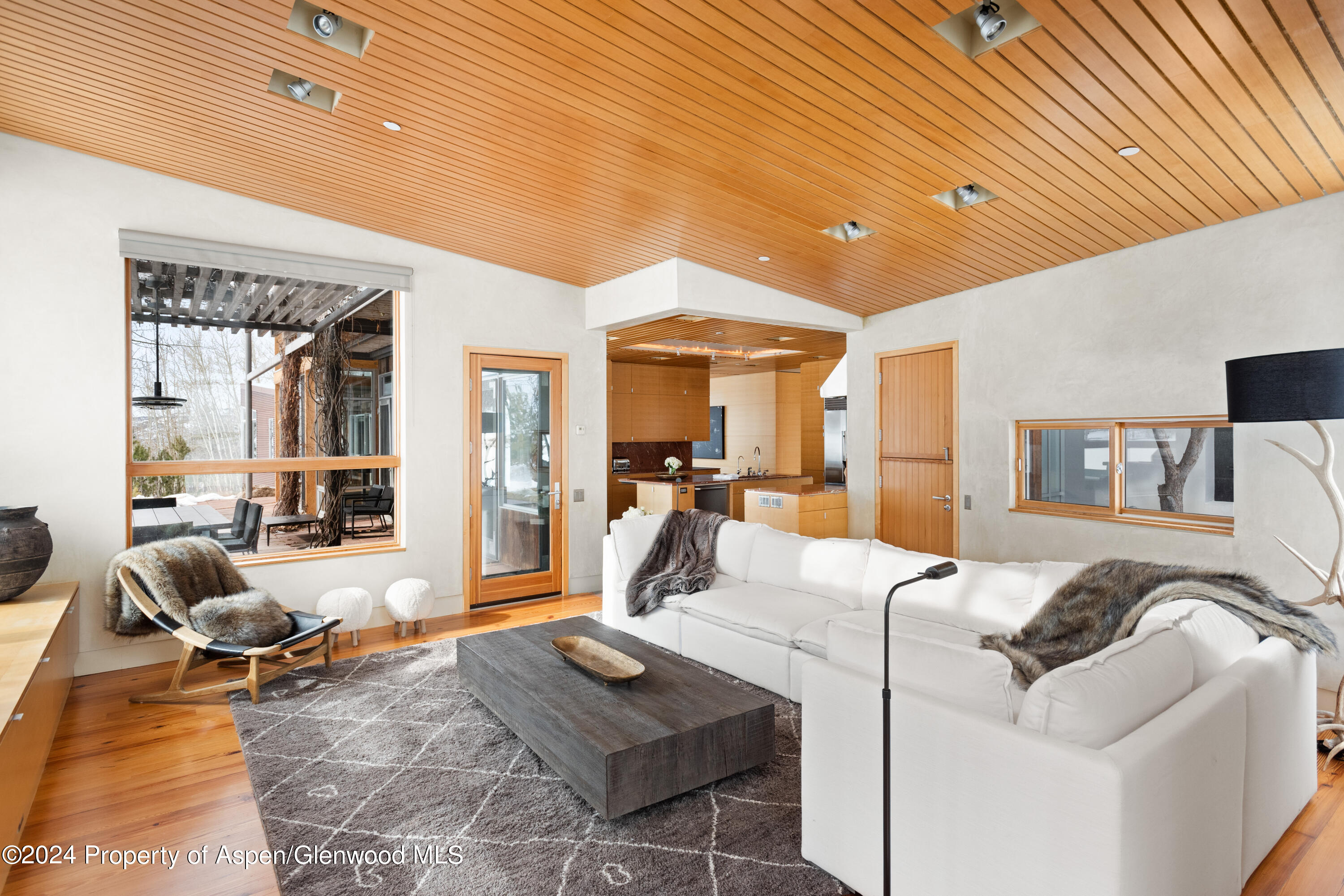 700 Nell Erickson Road Aspen CO 81611