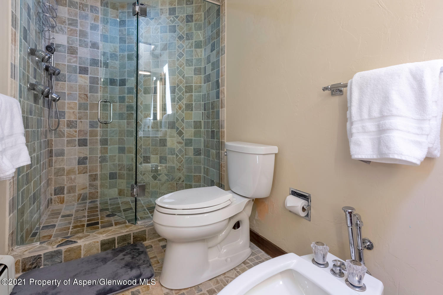 1441 Crystal Lake Road Aspen CO 81611