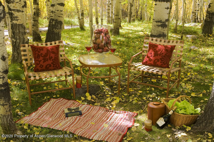 1441 Crystal Lake Road Aspen CO 81611