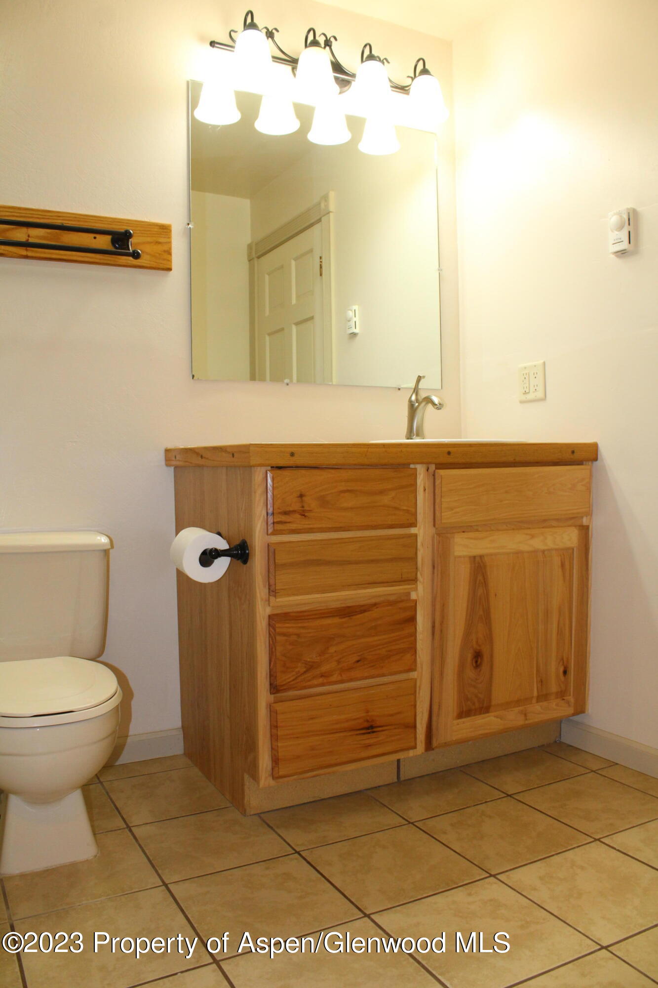 34 Ptarmigan Lane Glenwood Springs CO 81601