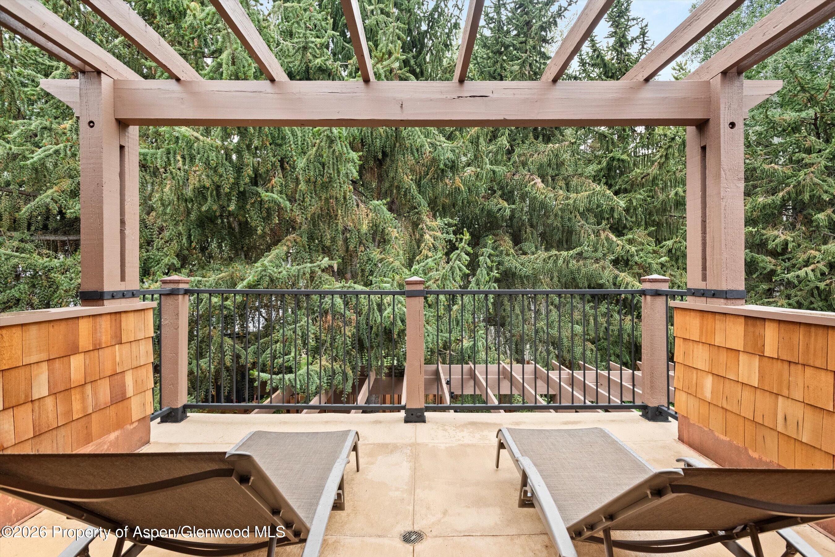 1263 Bunny Court Aspen CO 81611