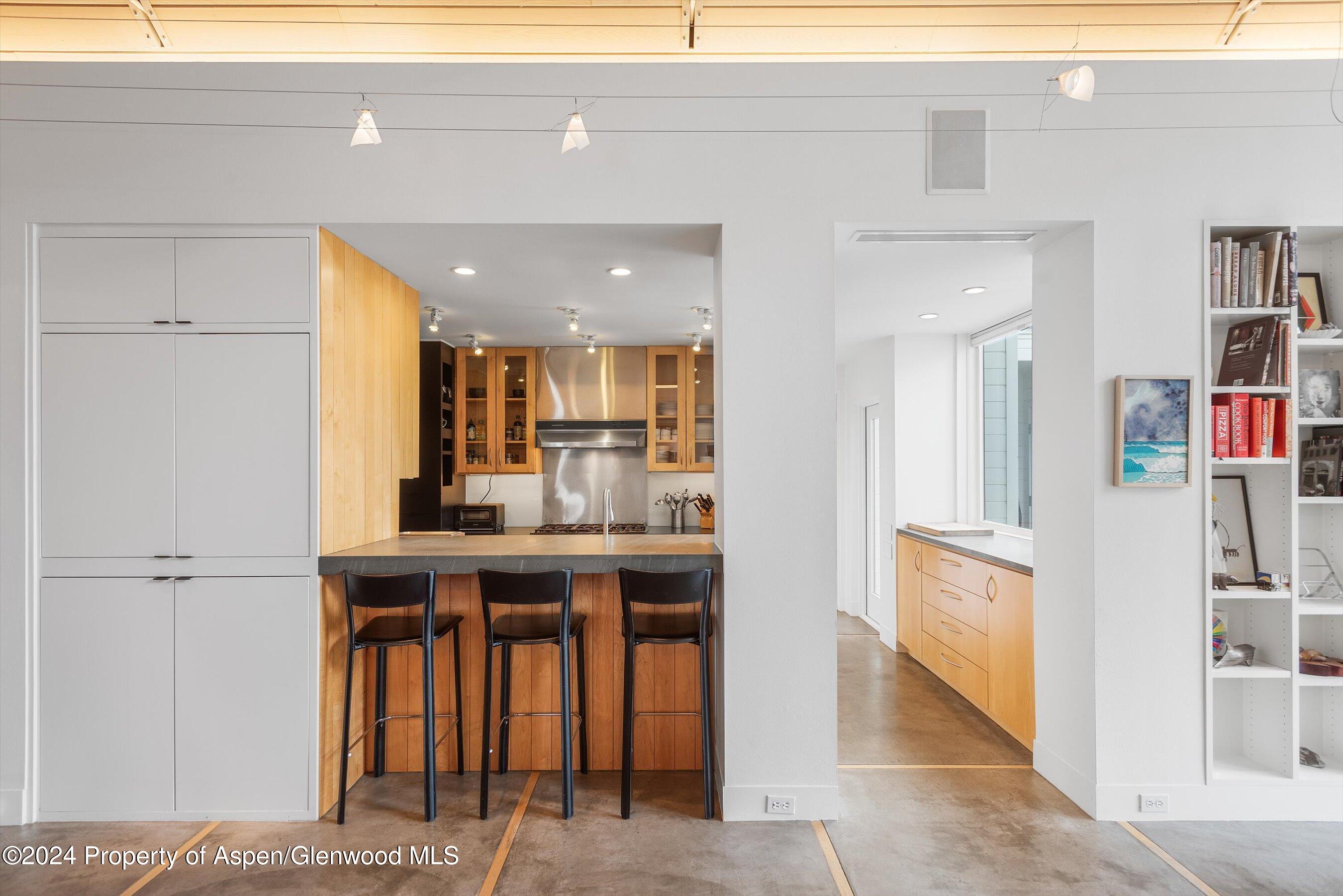 1270 Mountain View Drive Aspen CO 81611