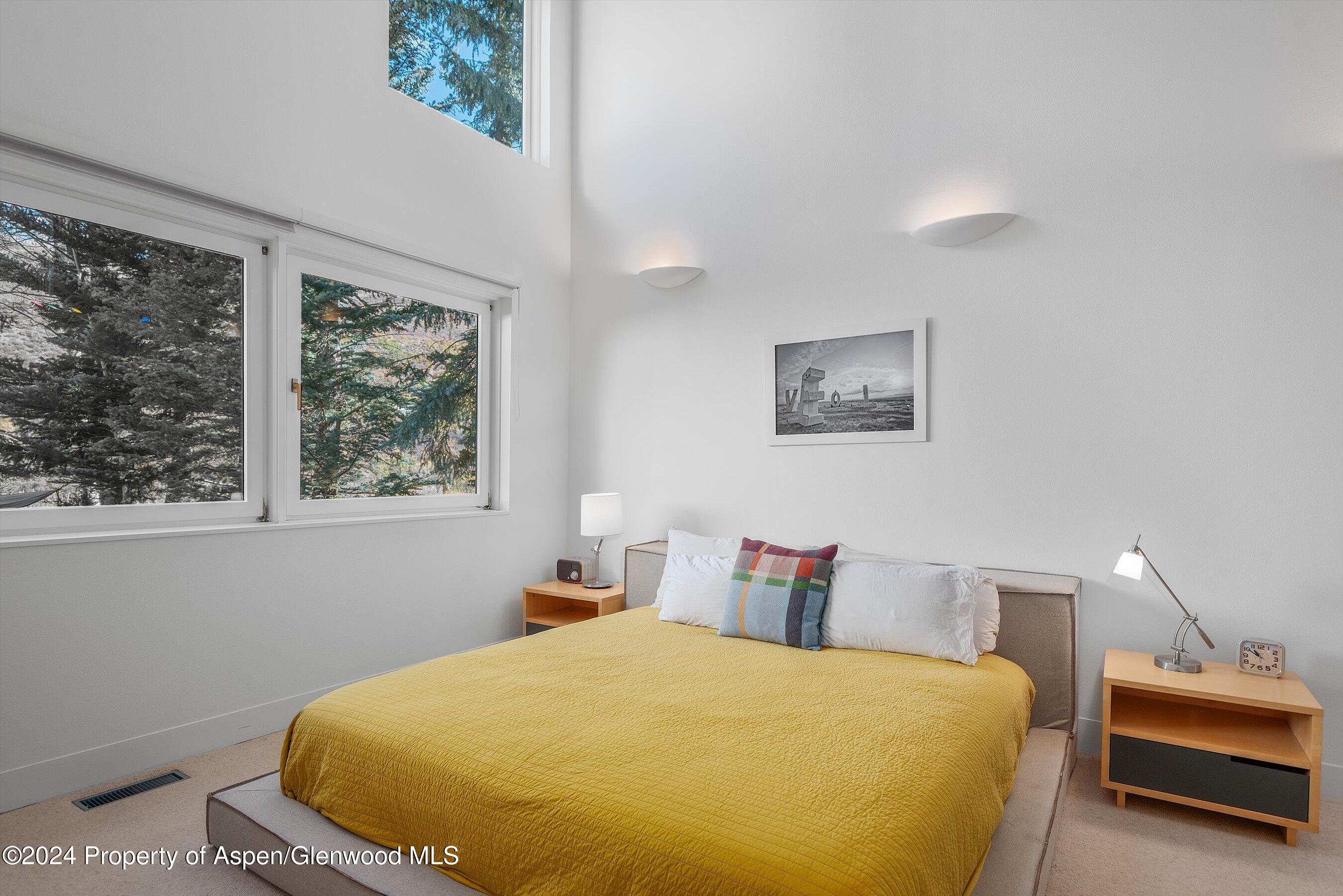 1270 Mountain View Drive Aspen CO 81611