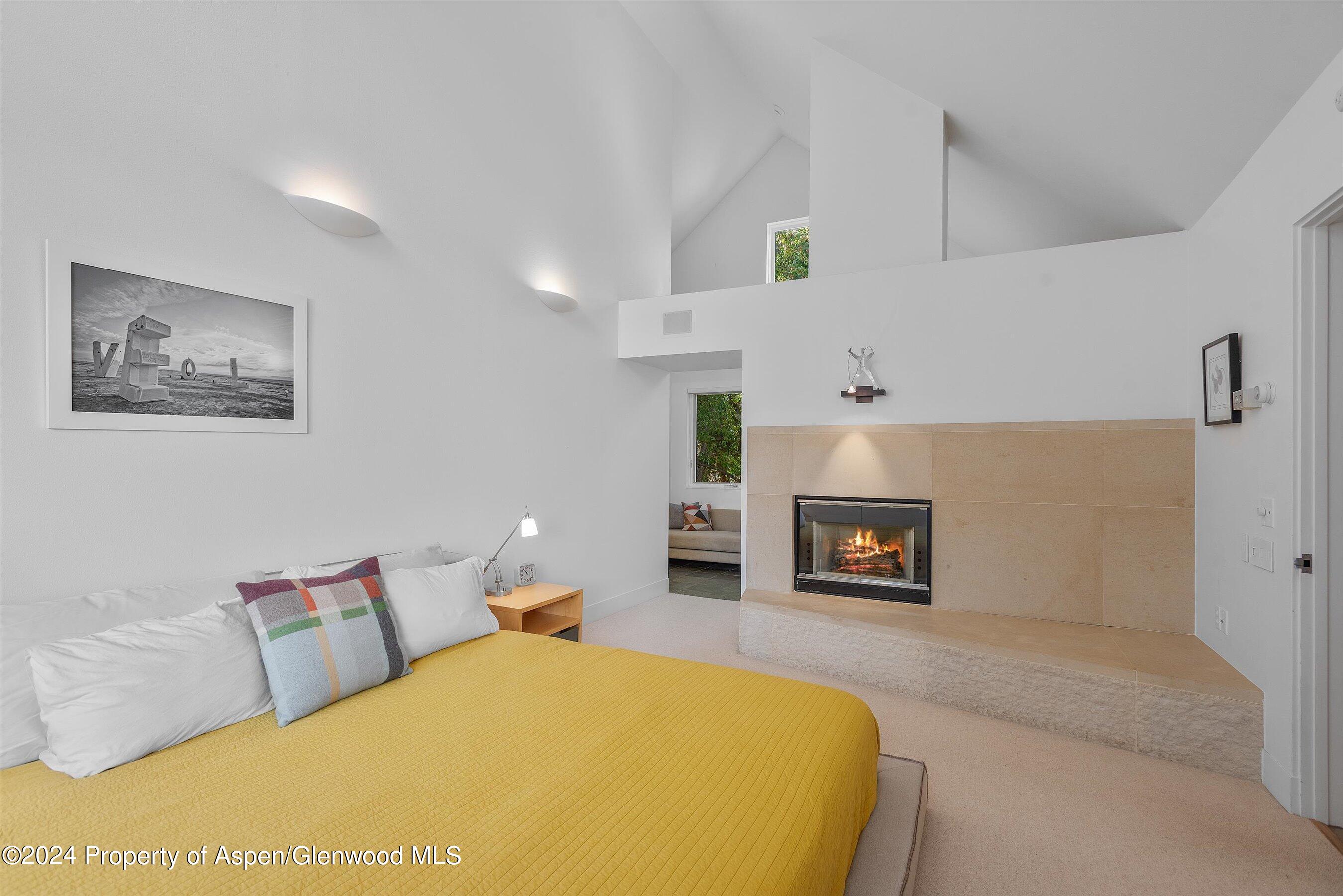 1270 Mountain View Drive Aspen CO 81611