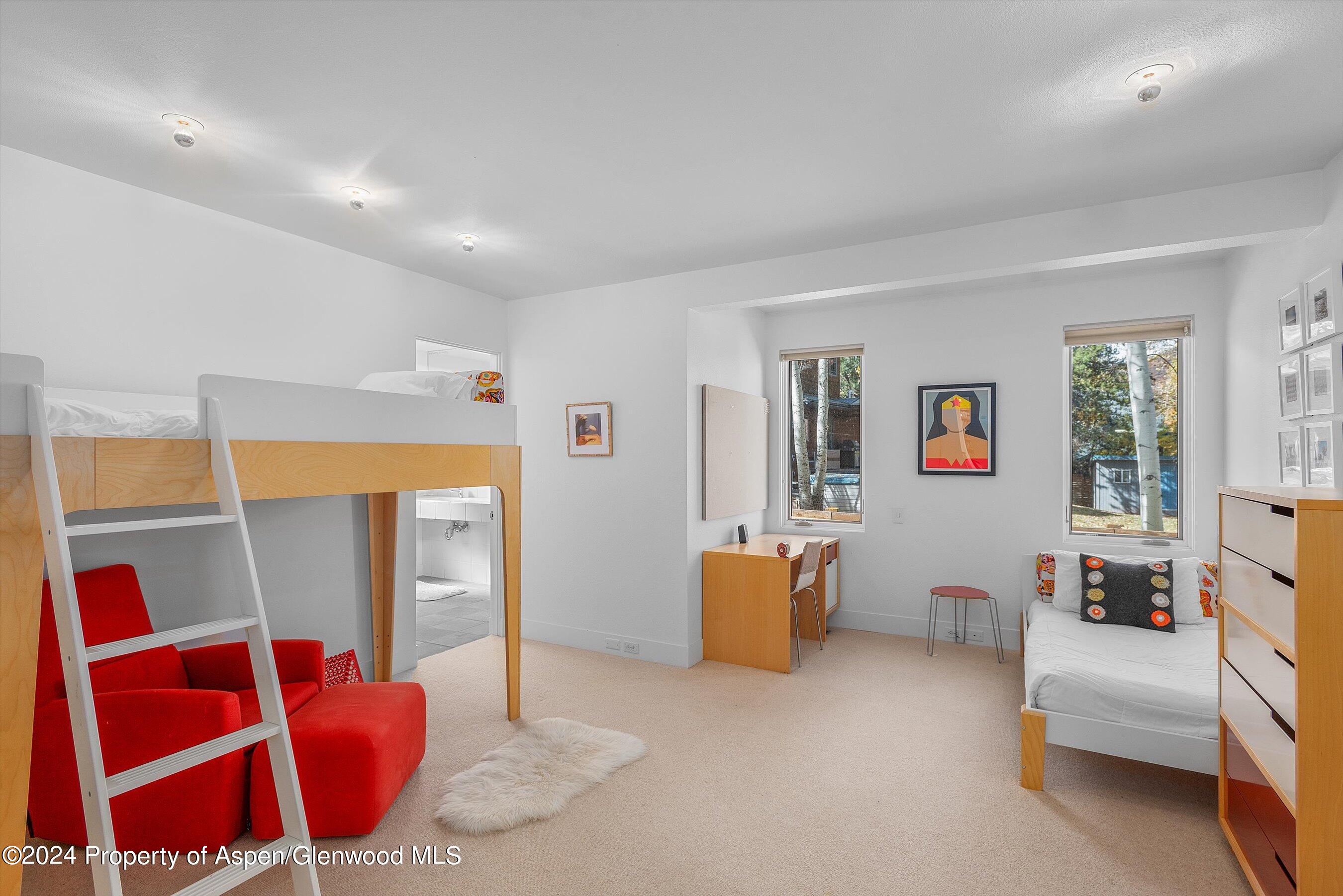 1270 Mountain View Drive Aspen CO 81611