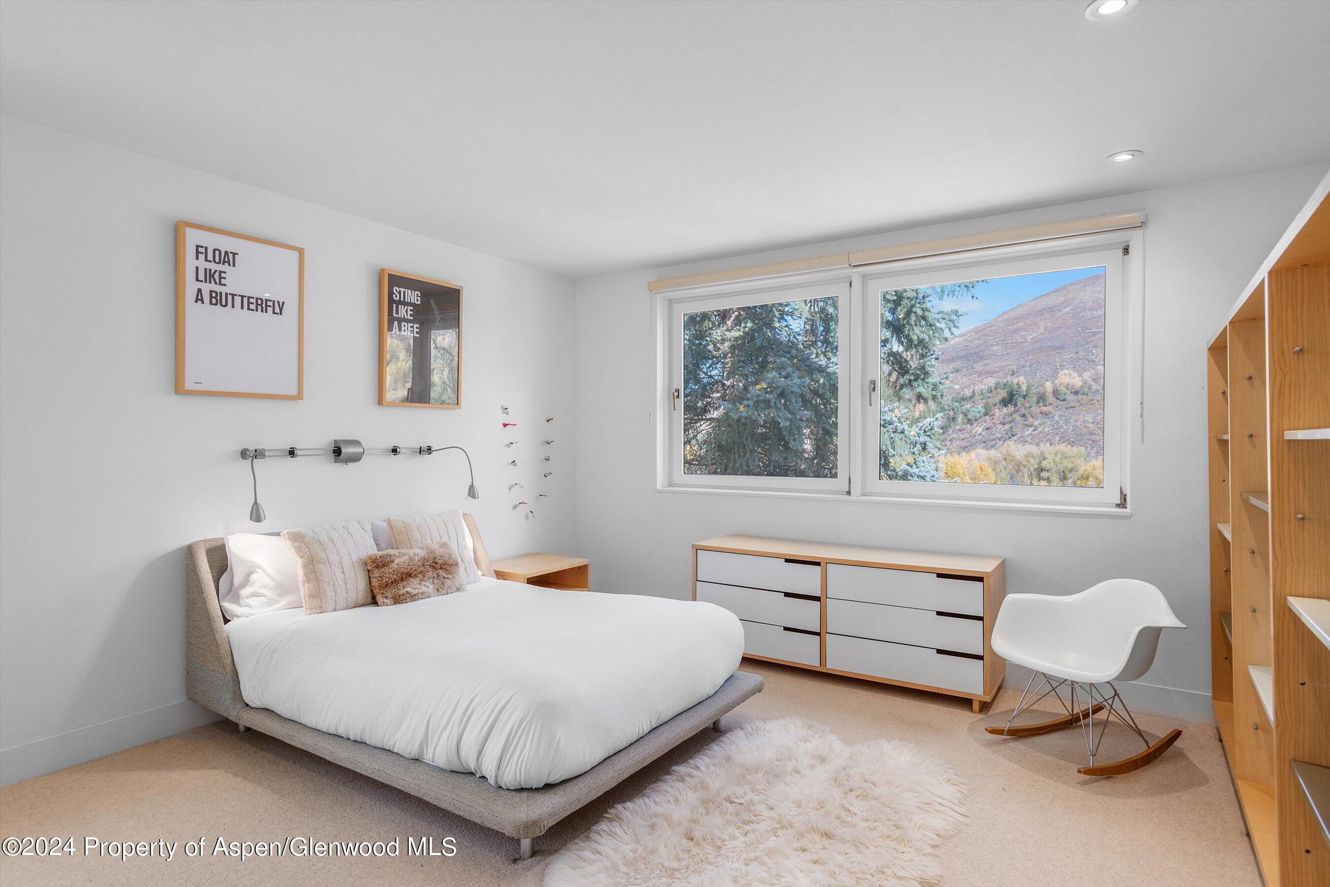 1270 Mountain View Drive Aspen CO 81611