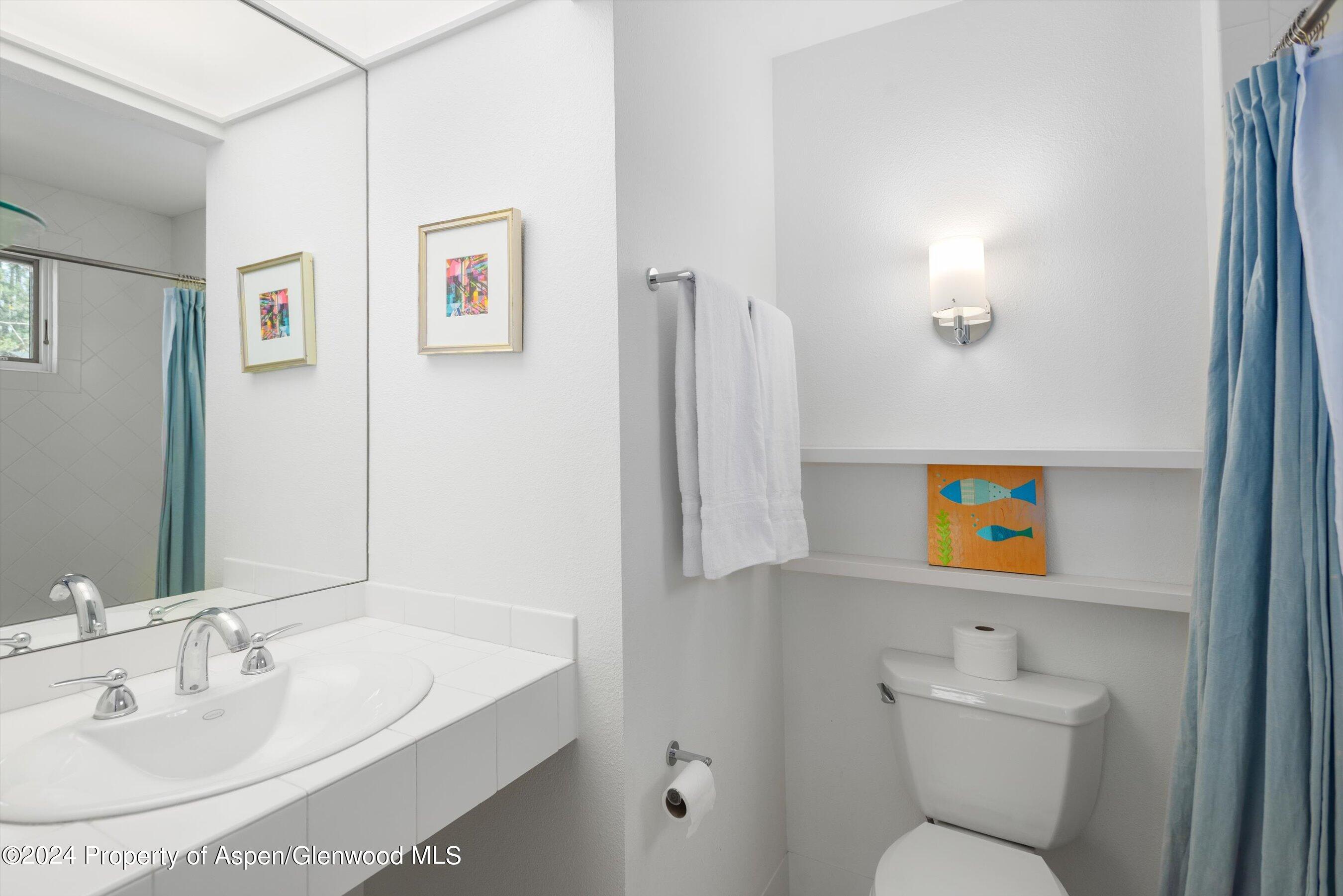 1270 Mountain View Drive Aspen CO 81611