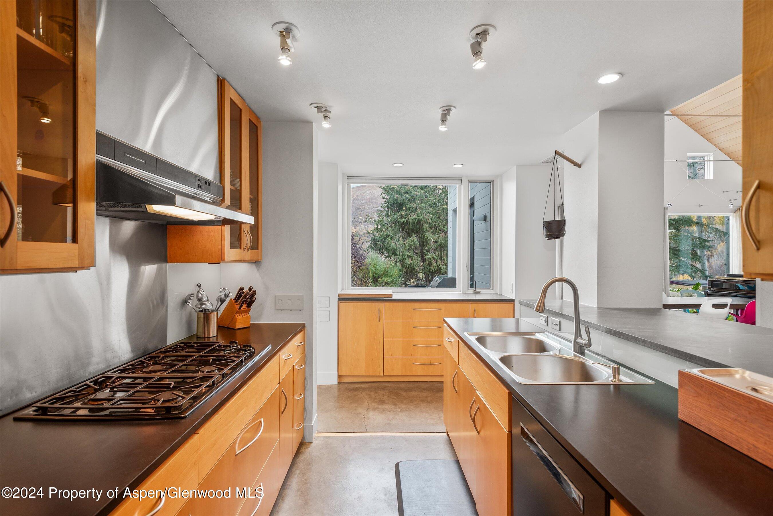 1270 Mountain View Drive Aspen CO 81611