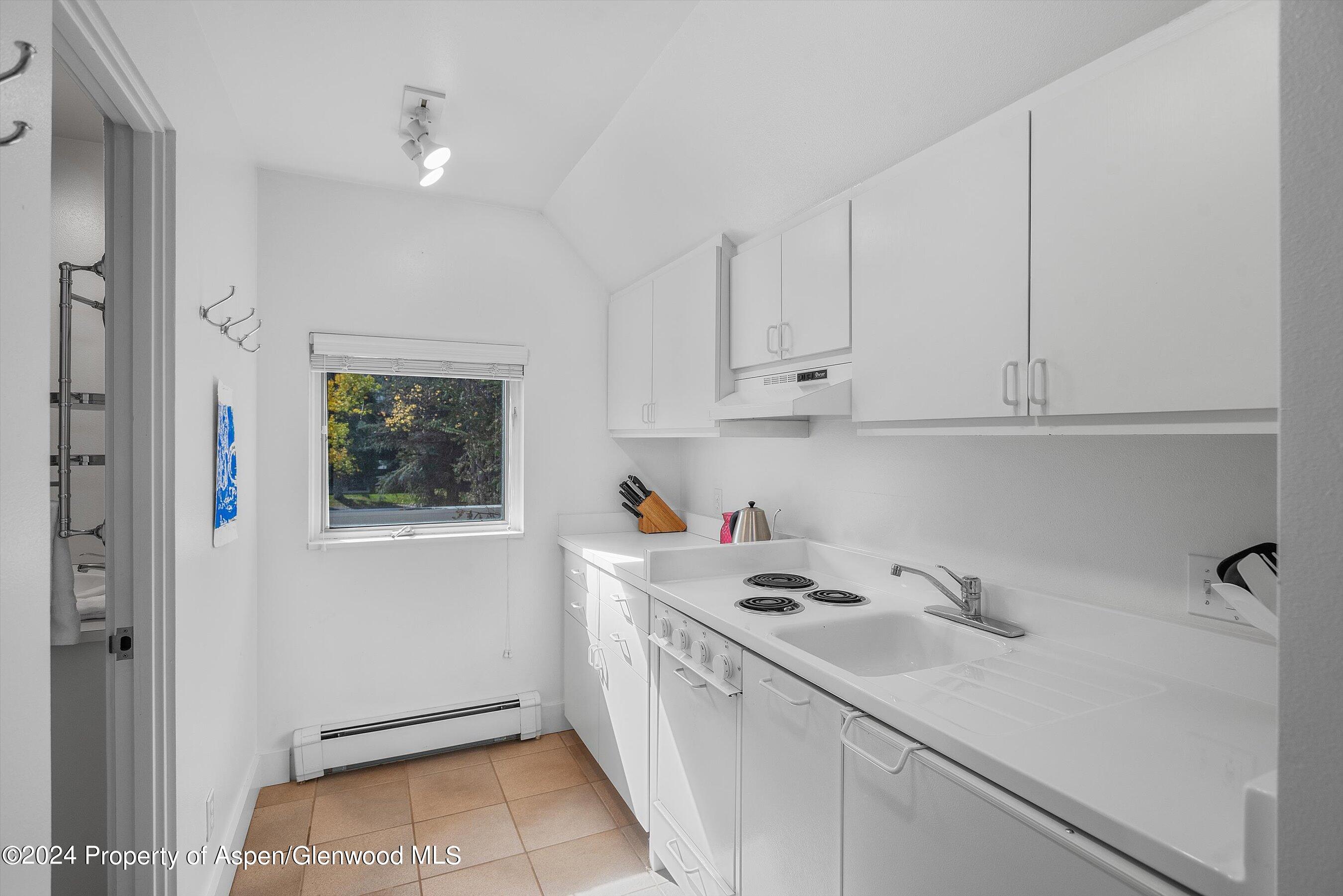 1270 Mountain View Drive Aspen CO 81611