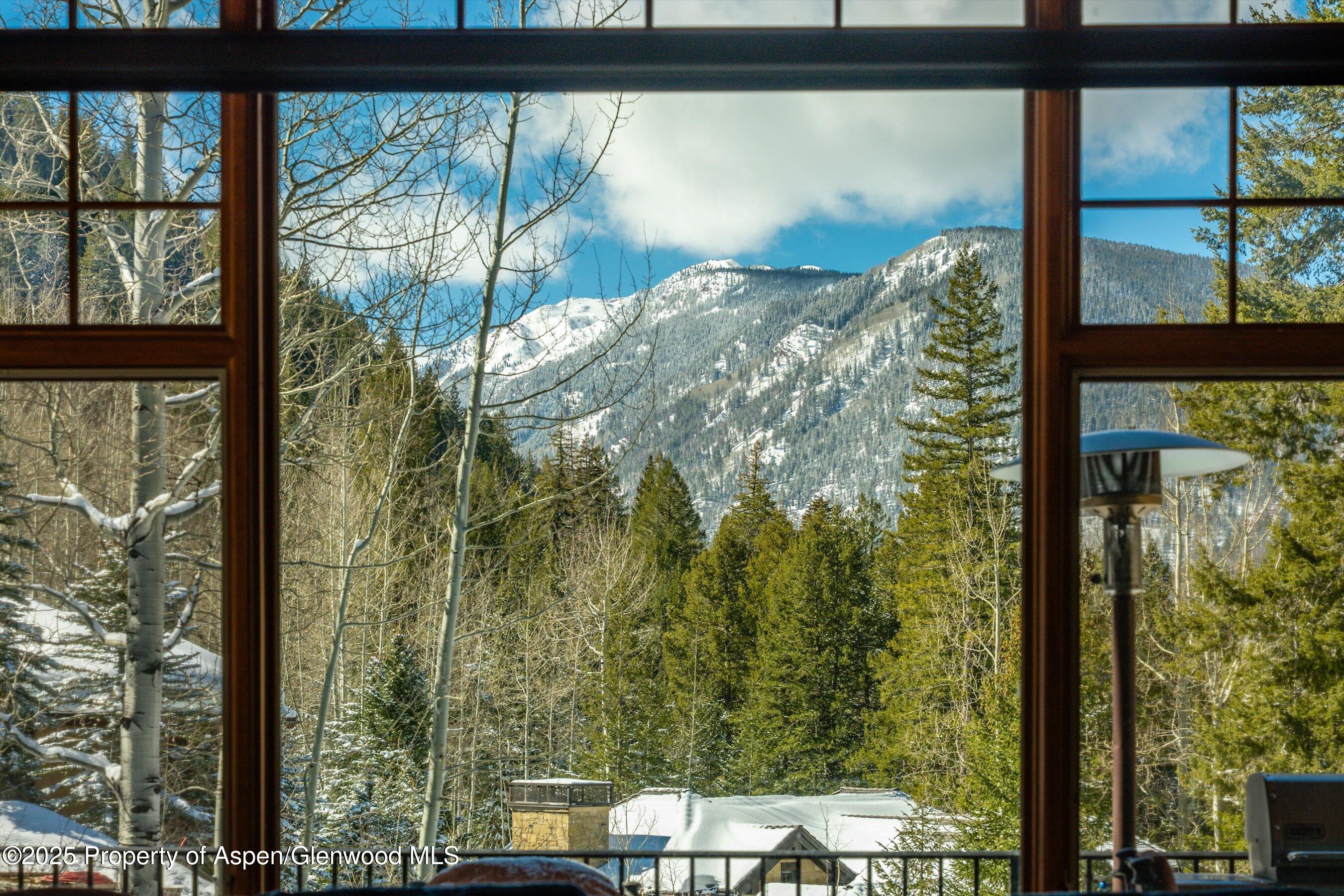 180 Exhibition Lane Aspen CO 81611