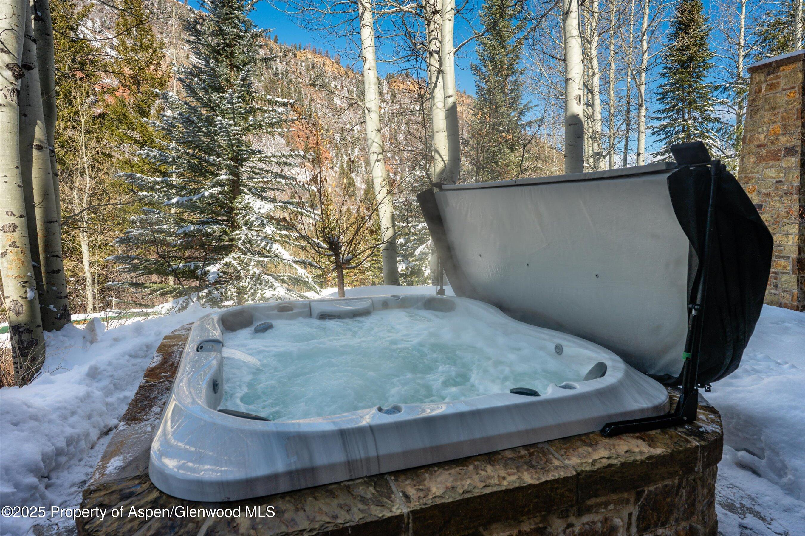 180 Exhibition Lane Aspen CO 81611