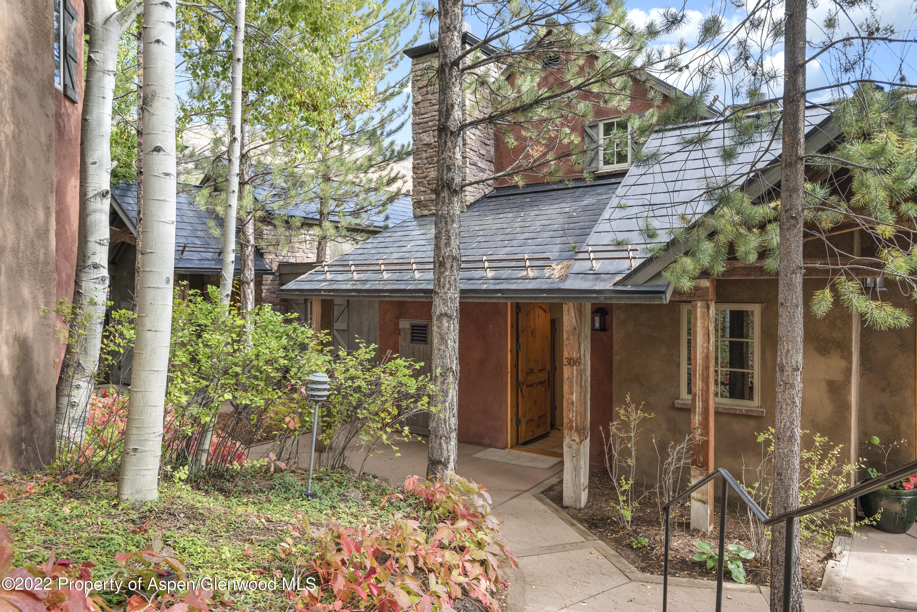 306 Wild Spring Lane Basalt CO 81621