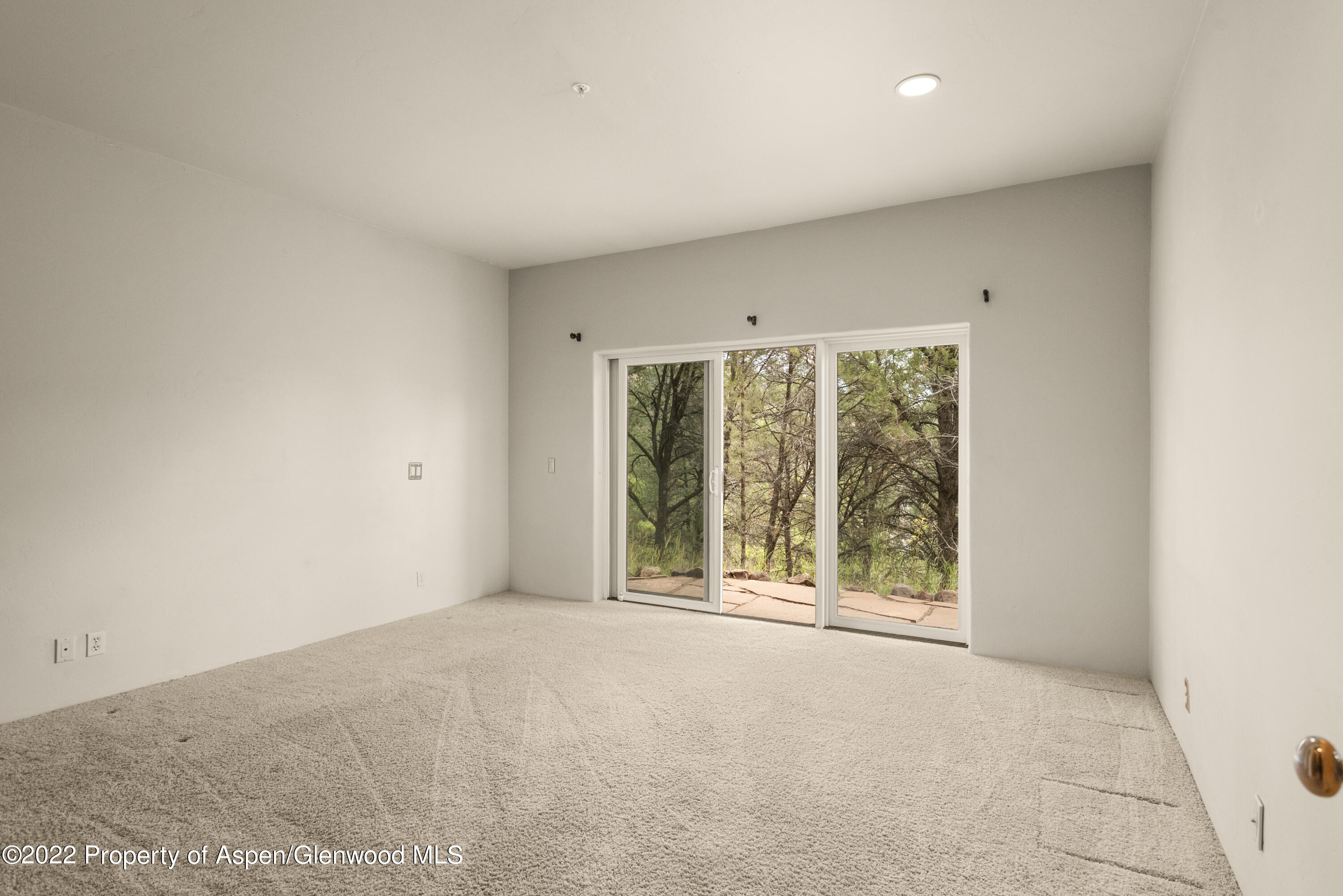 306 Wild Spring Lane Basalt CO 81621