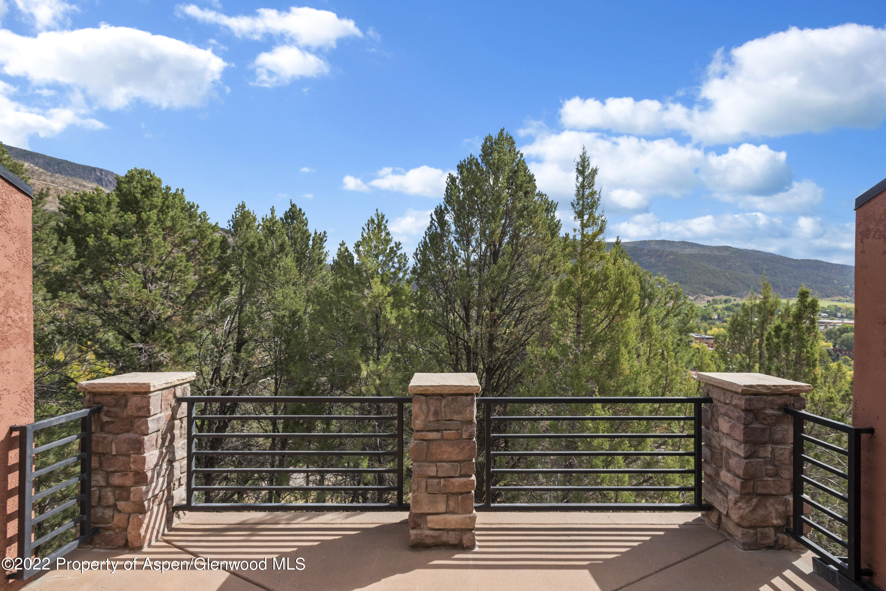 306 Wild Spring Lane Basalt CO 81621