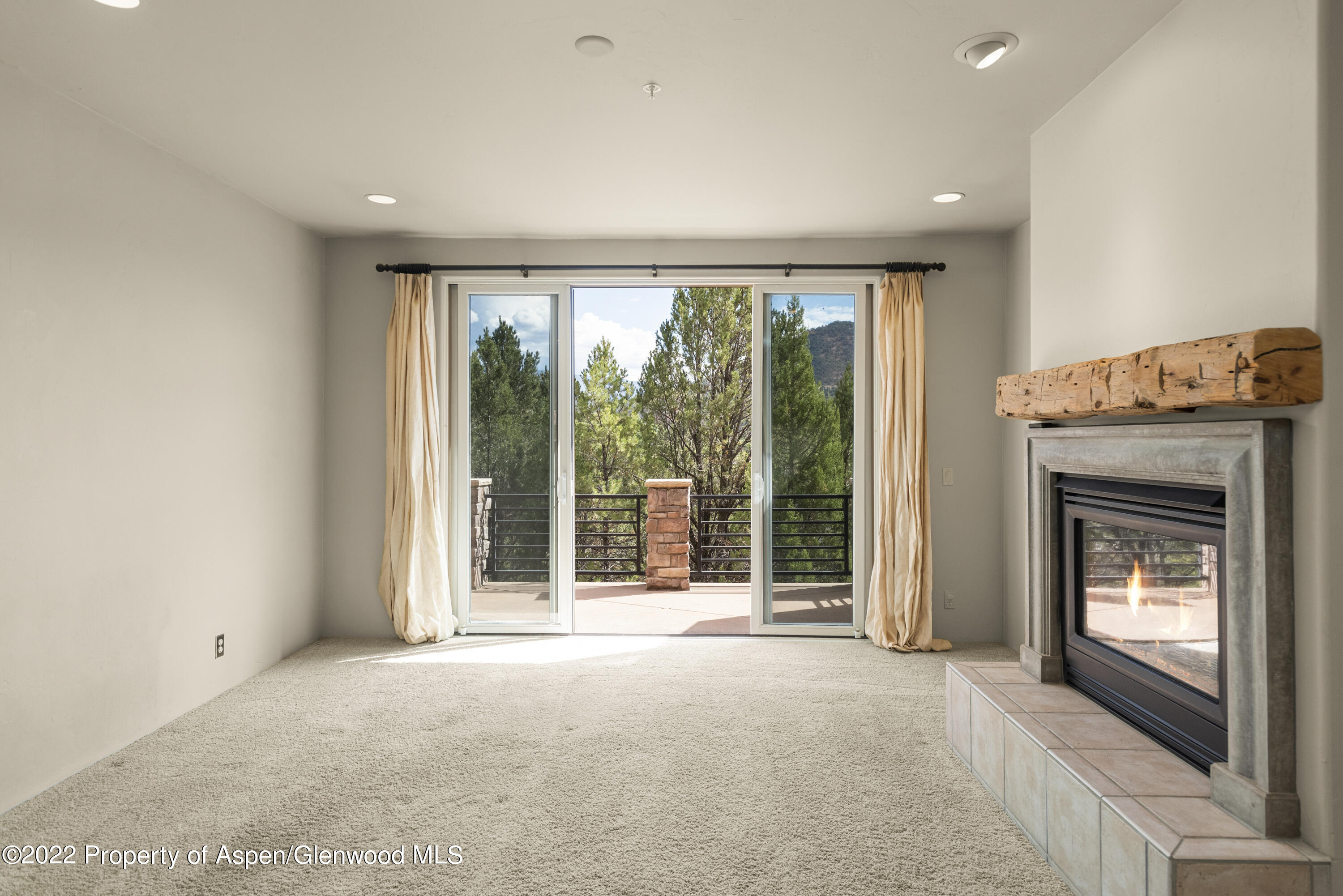 306 Wild Spring Lane Basalt CO 81621
