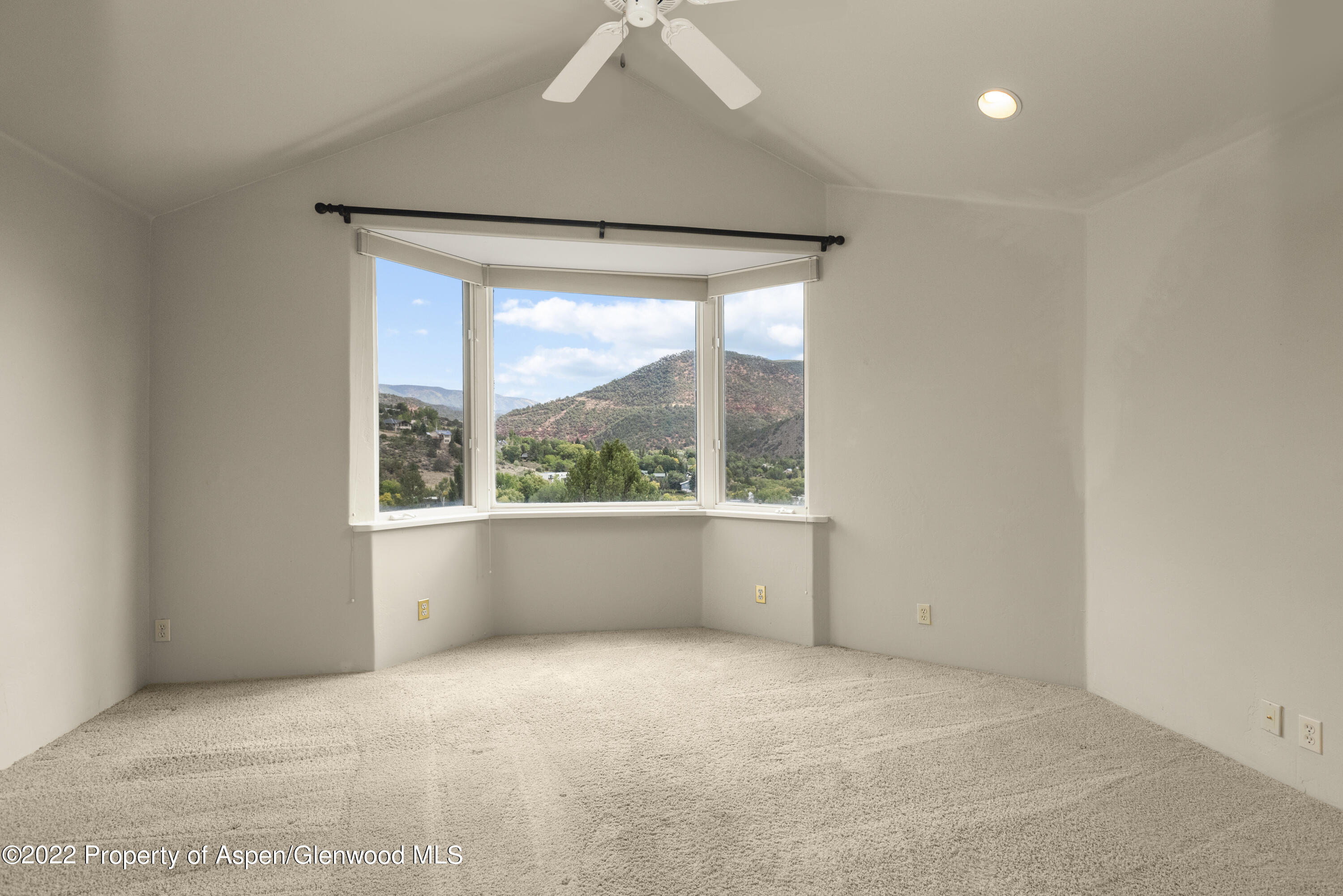 306 Wild Spring Lane Basalt CO 81621