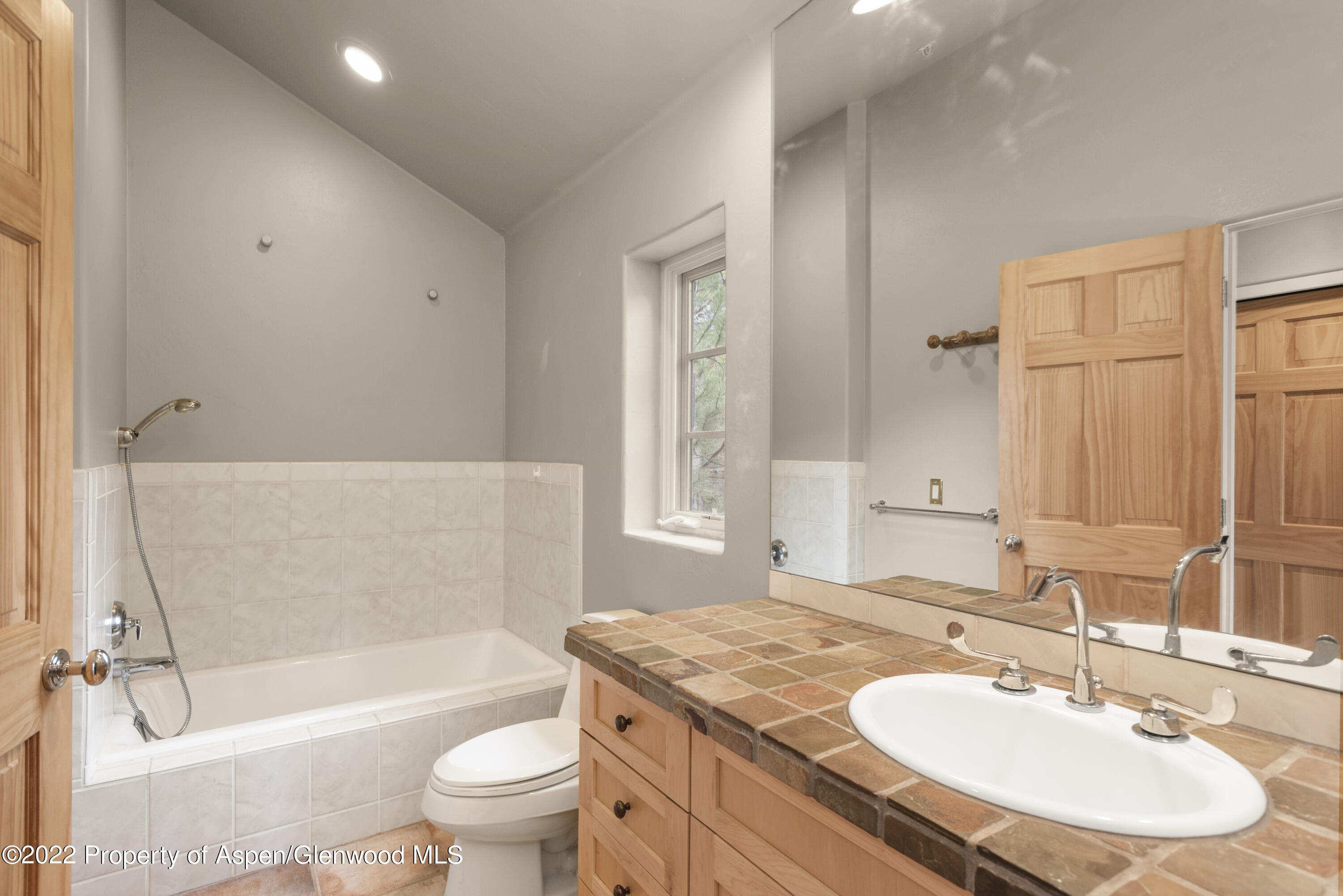 306 Wild Spring Lane Basalt CO 81621