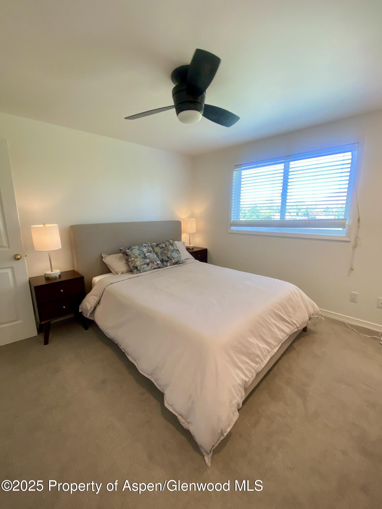1167 Vitos Way Carbondale CO 81623