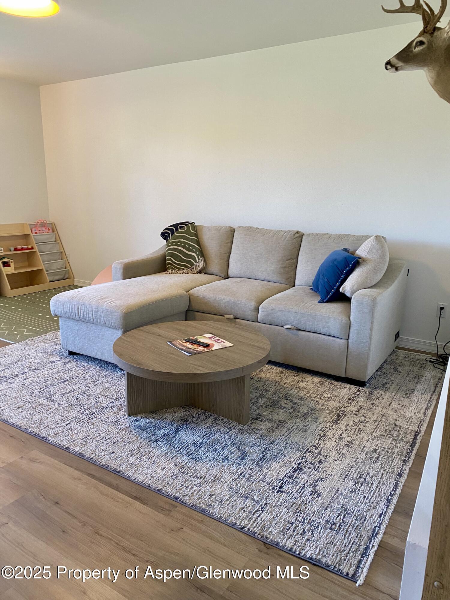 1167 Vitos Way Carbondale CO 81623