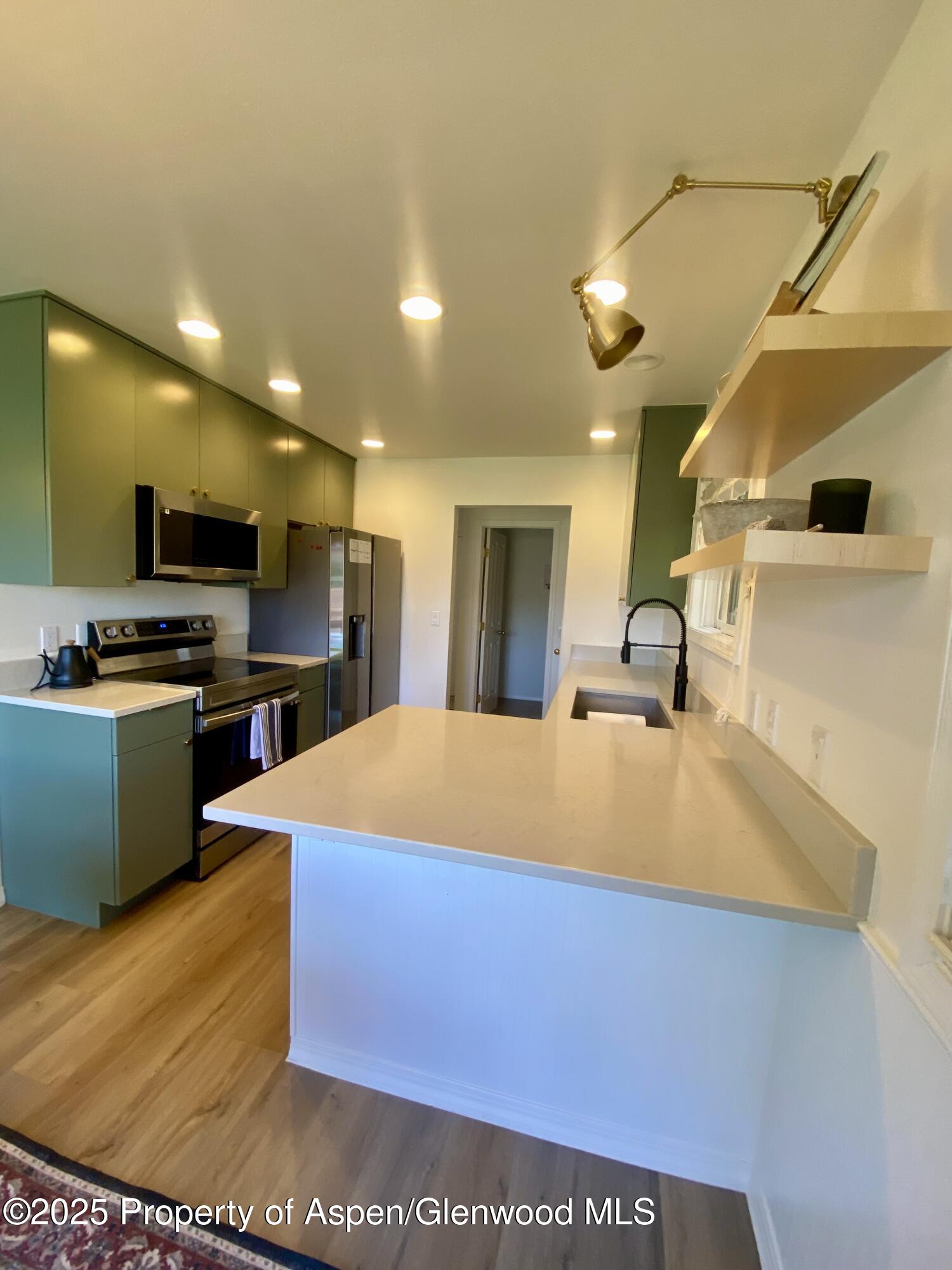 1167 Vitos Way Carbondale CO 81623